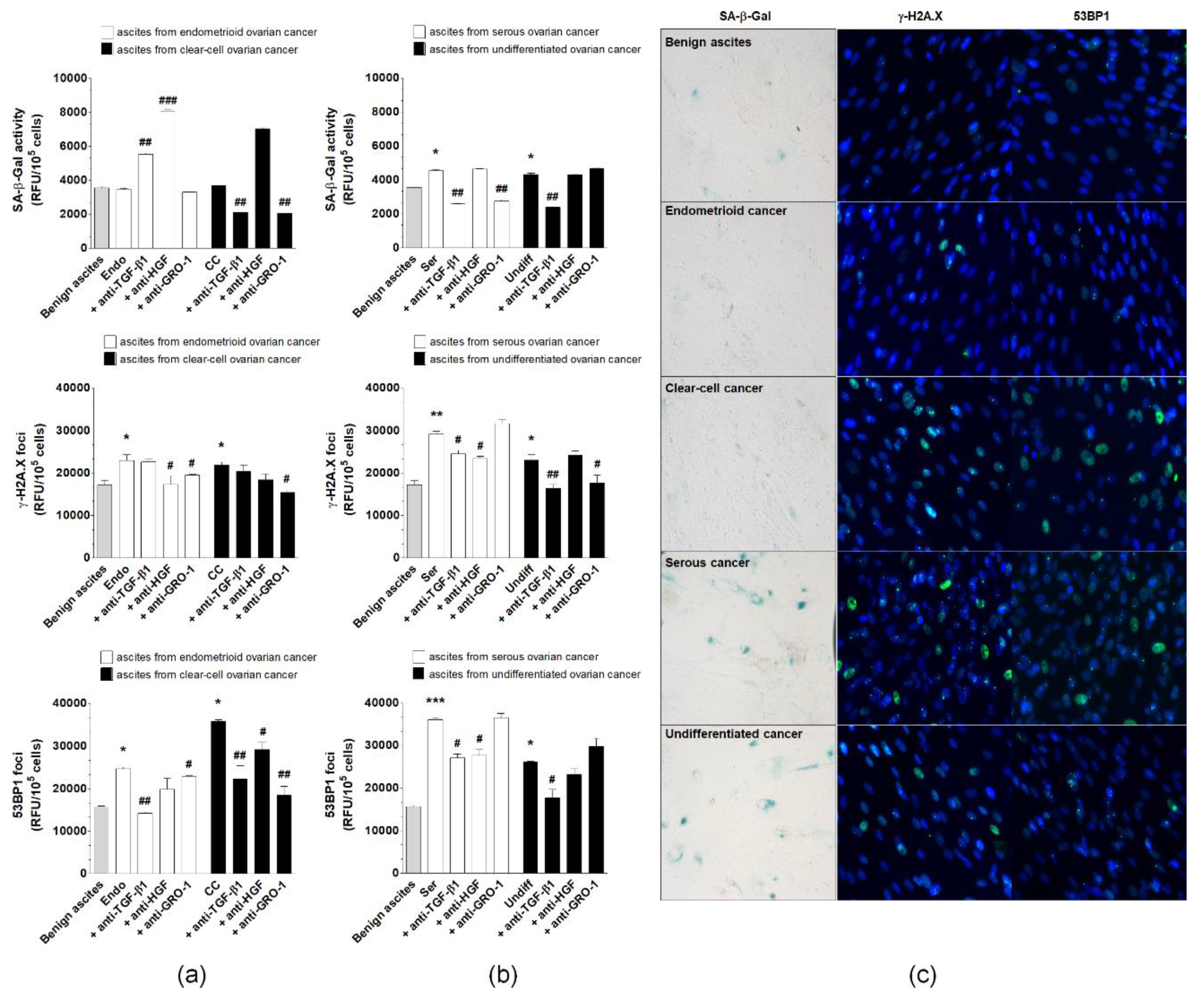 Cancers 12 00296 g008 Cancers 12 00296 g008