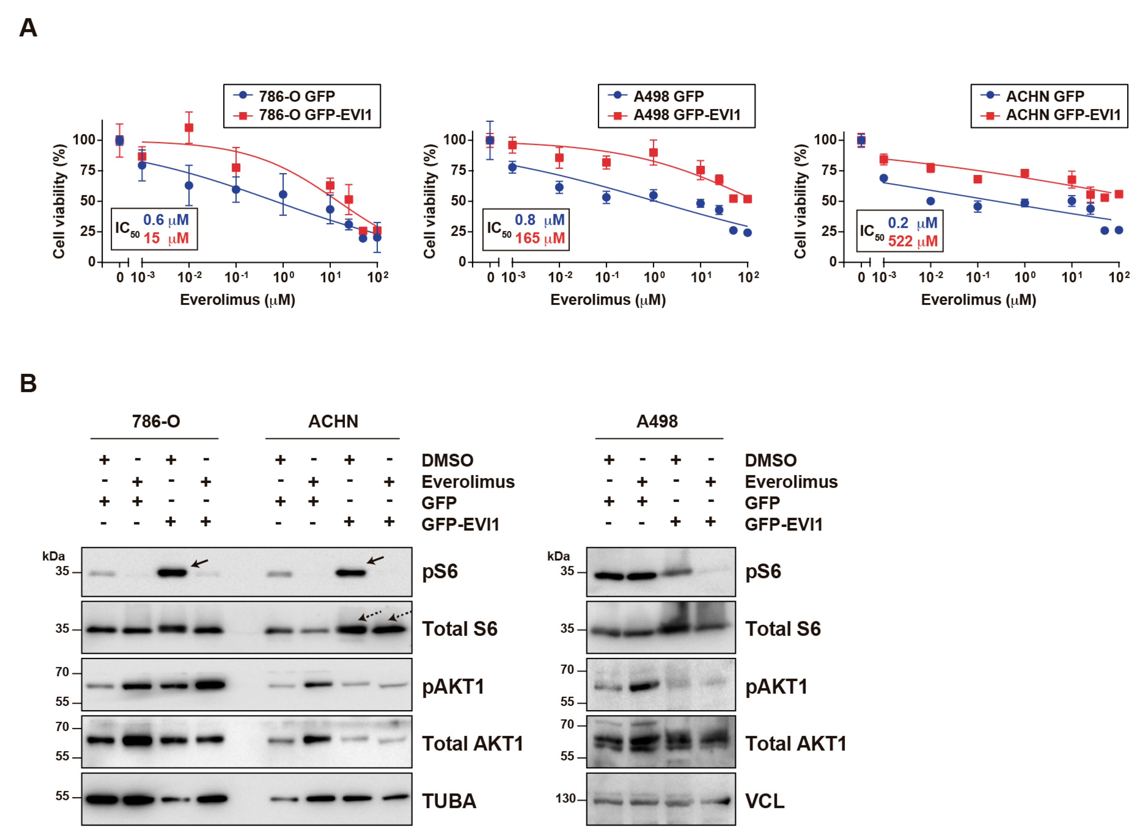 Cancers 12 00300 g003