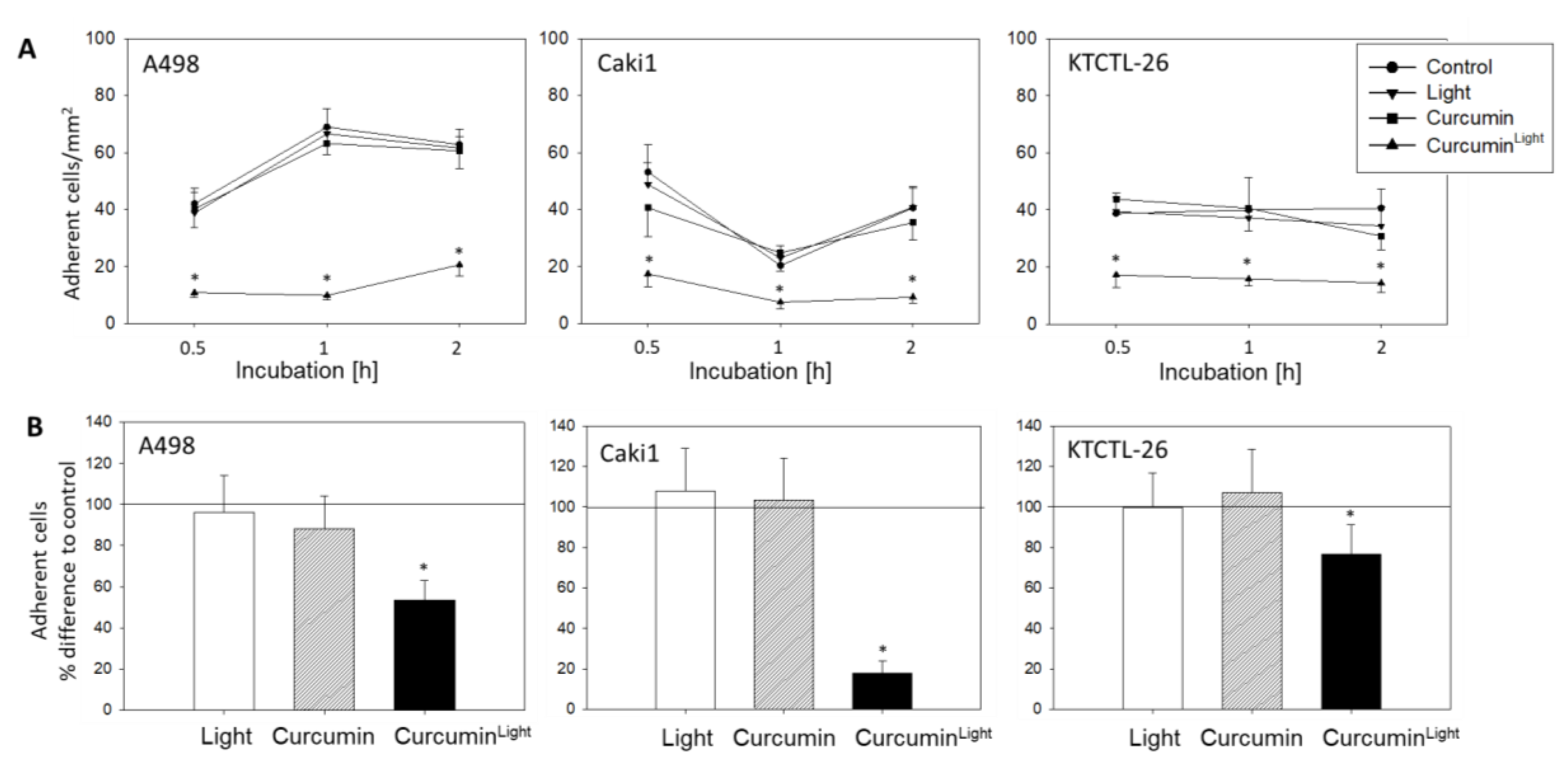 Cancers 12 00302 g003