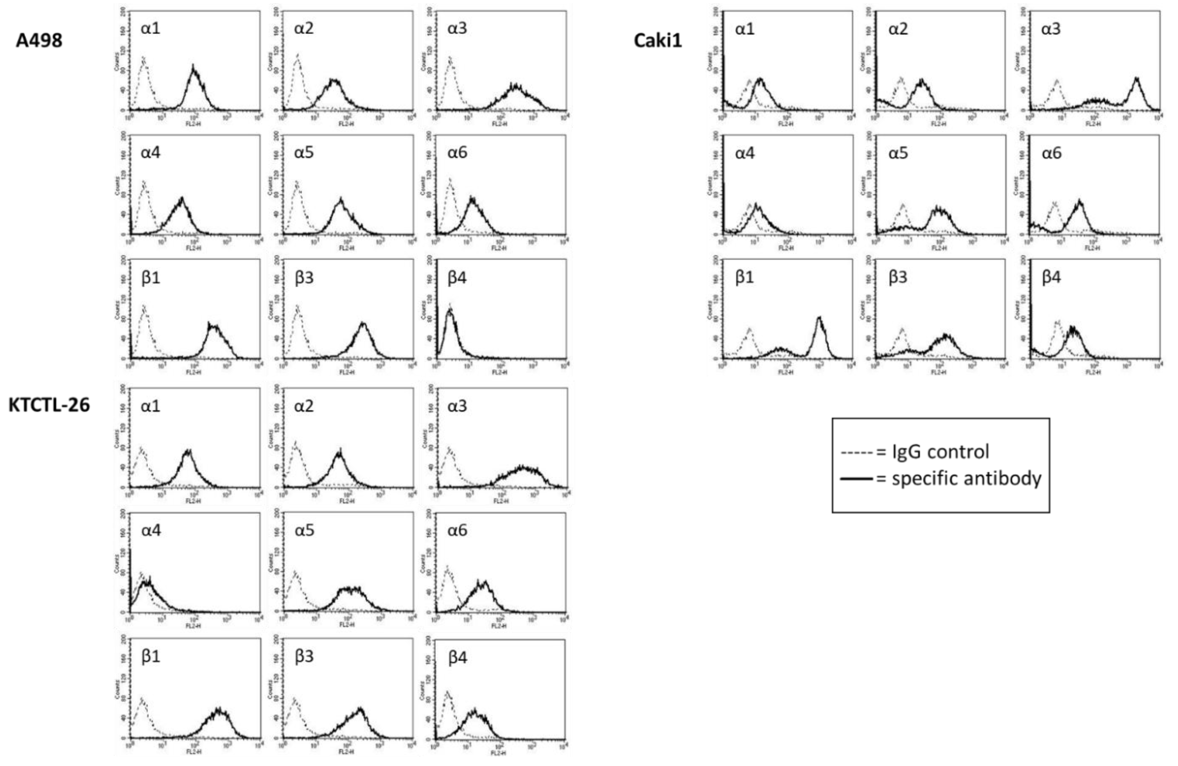 Cancers 12 00302 g005