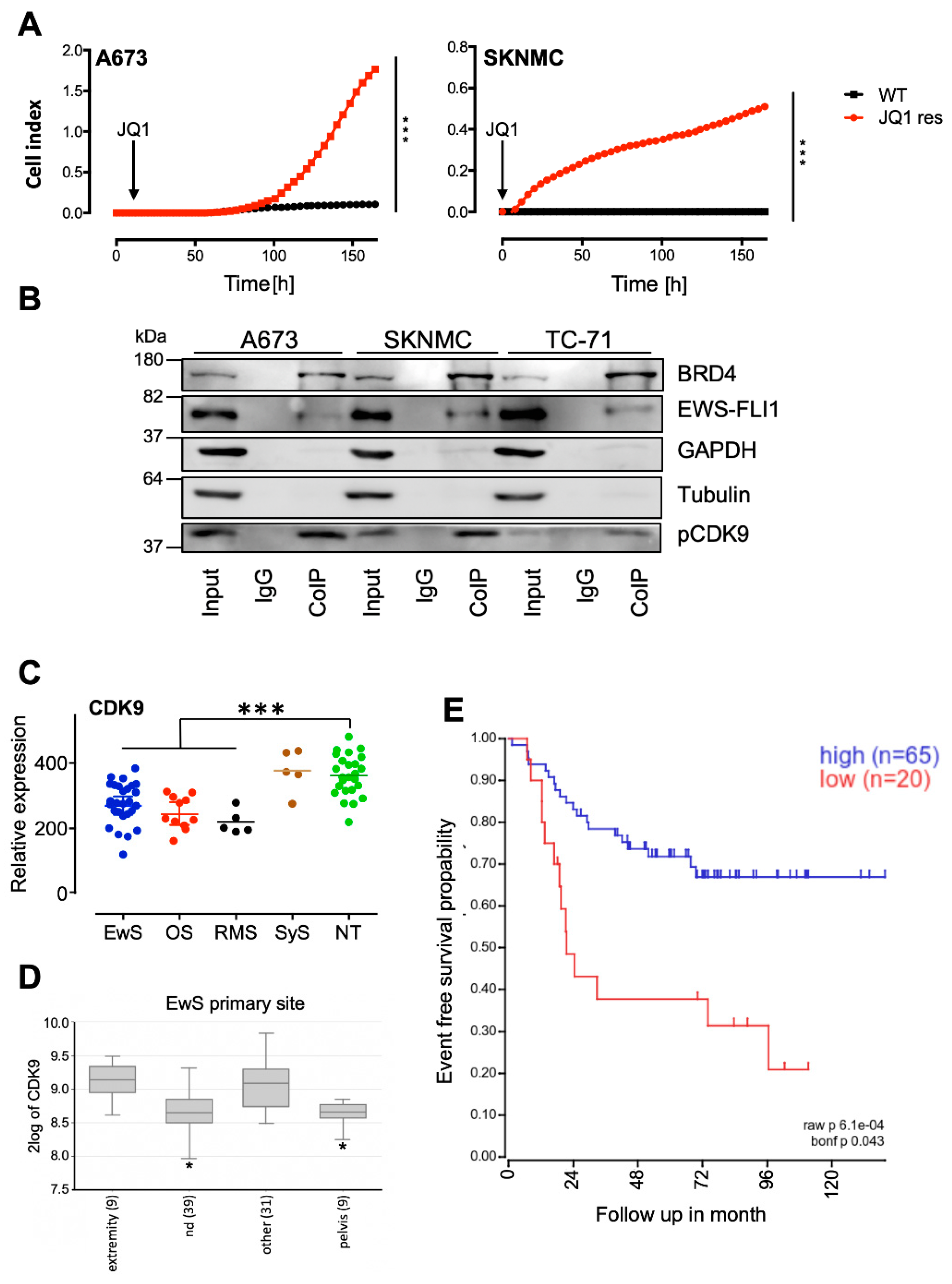 Cancers 12 00304 g001