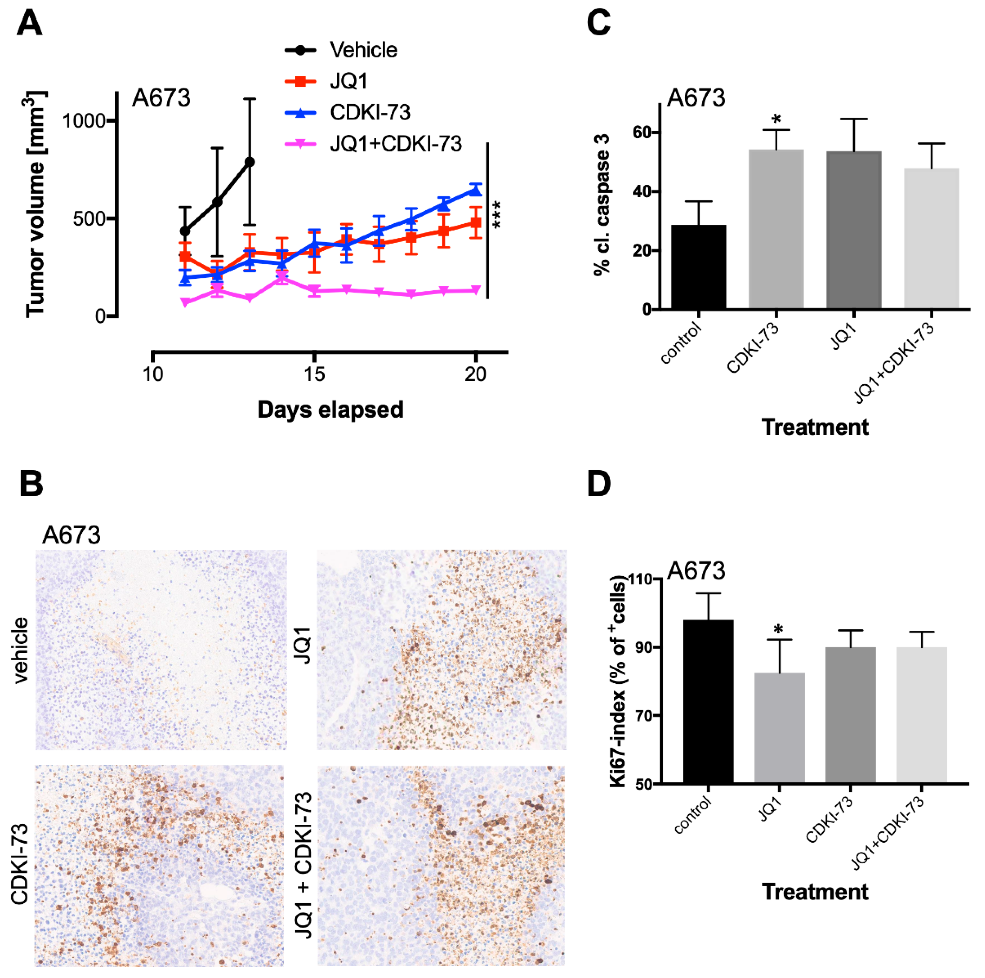 Cancers 12 00304 g005