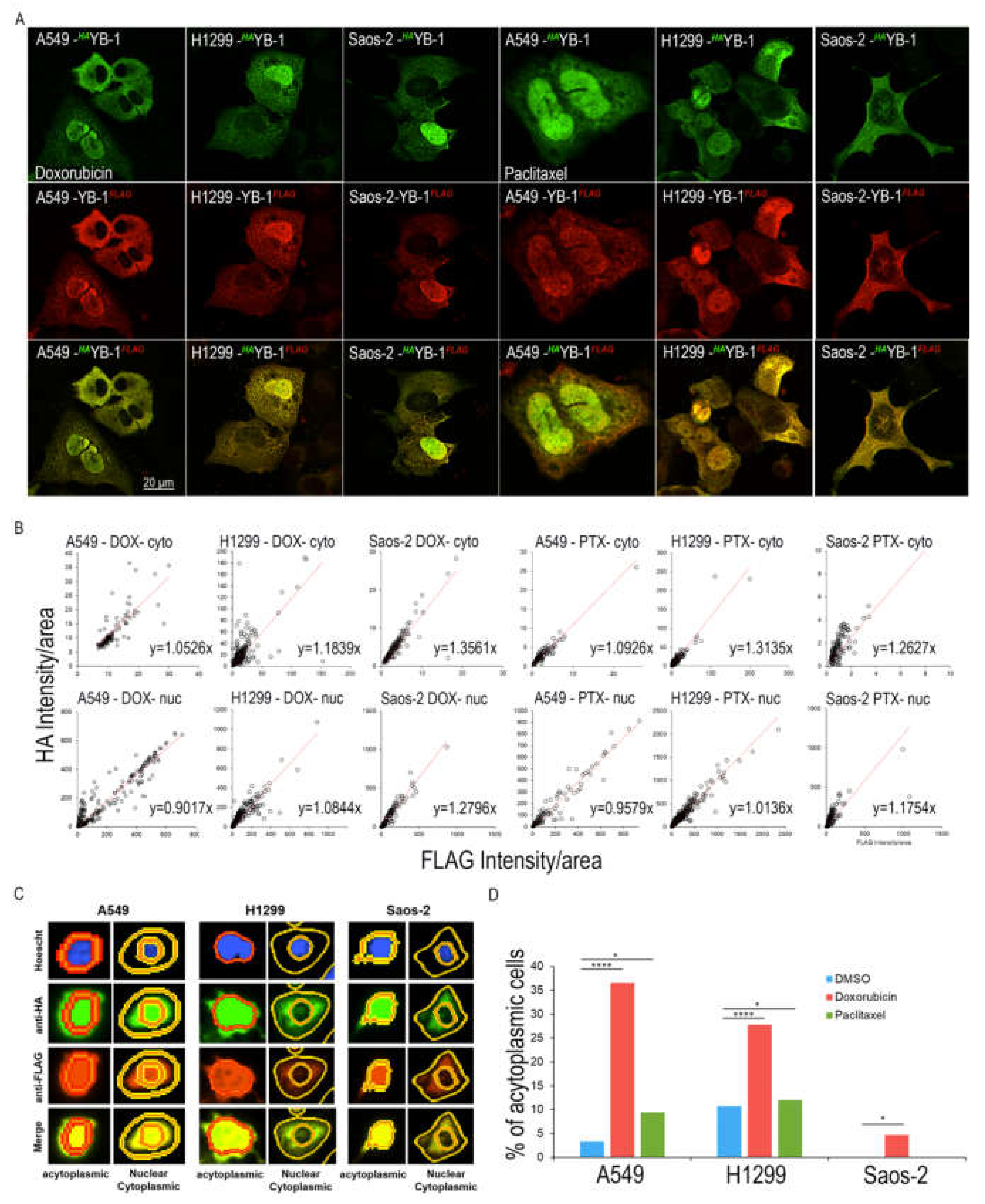 Cancers 12 00315 g002 Cancers 12 00315 g002