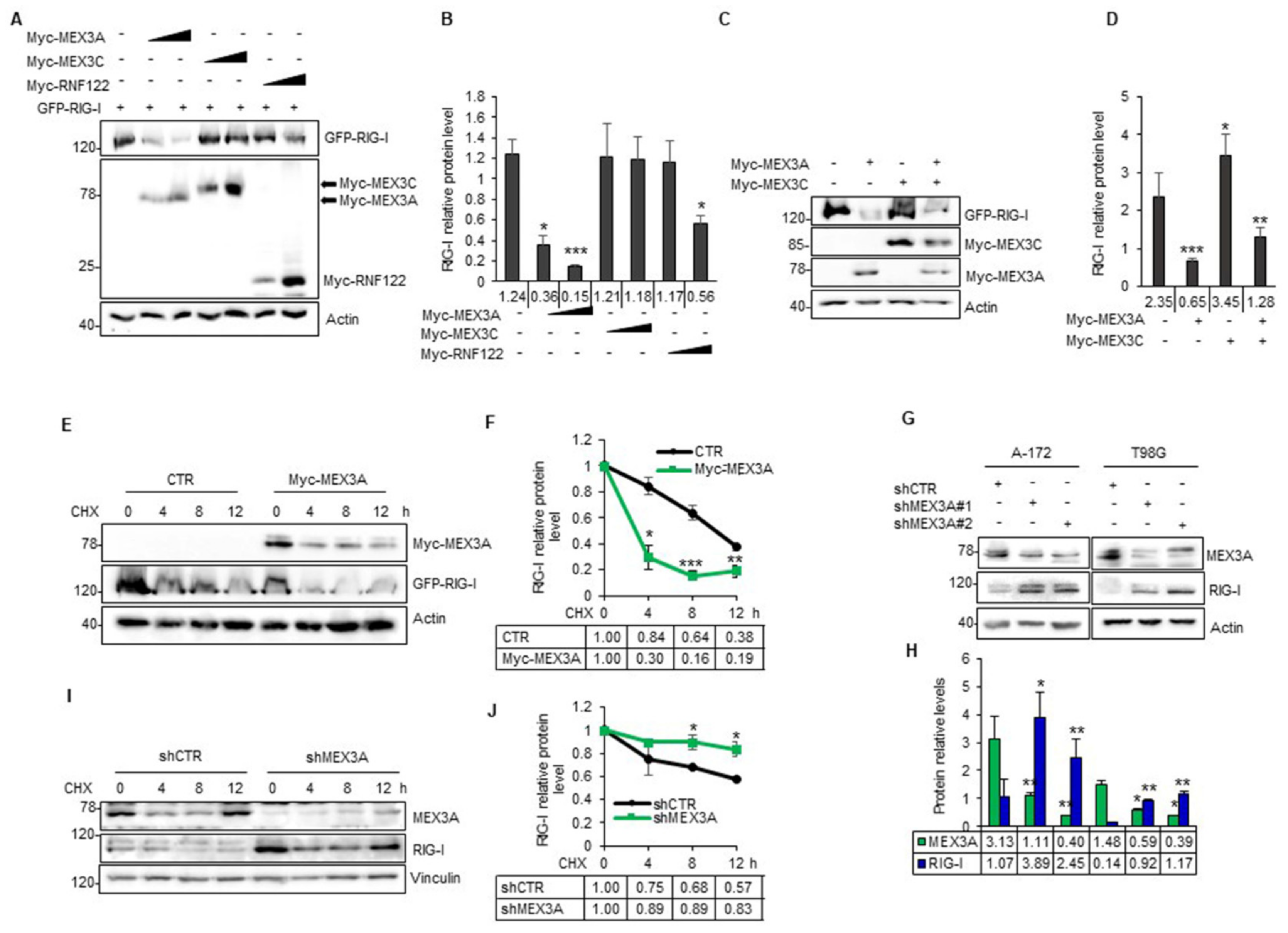 Cancers 12 00321 g004