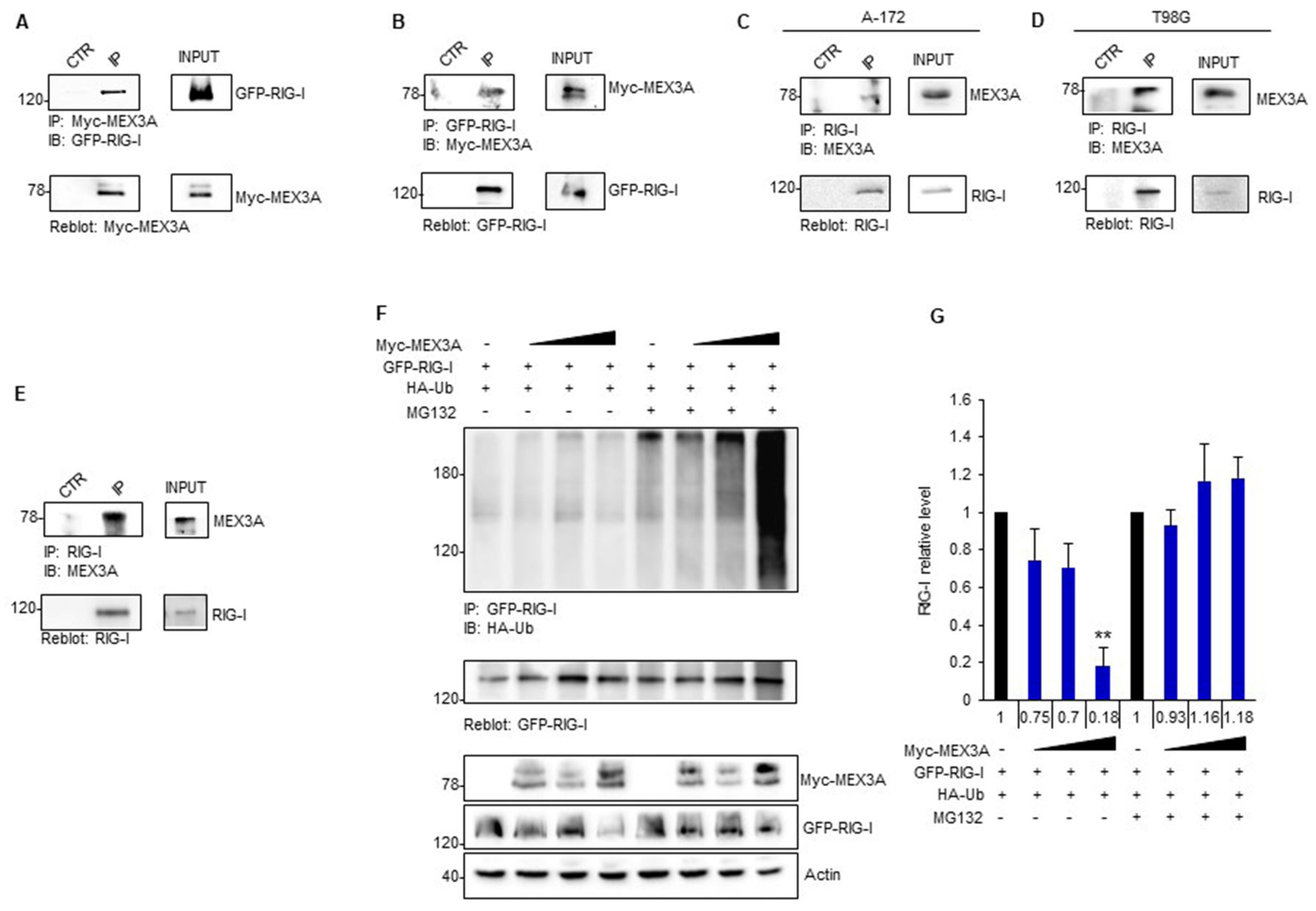Cancers 12 00321 g005