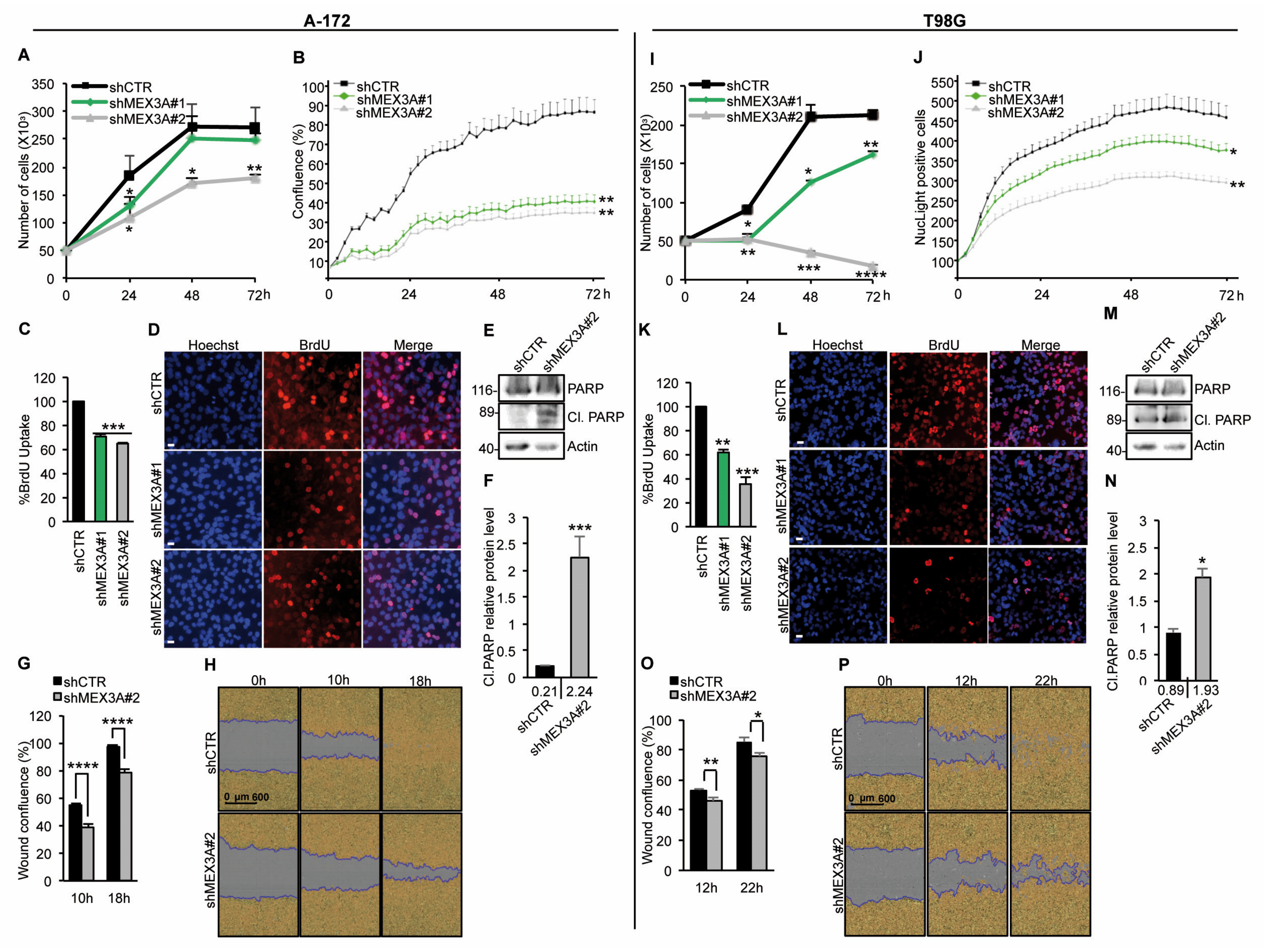 Cancers 12 00321 g006