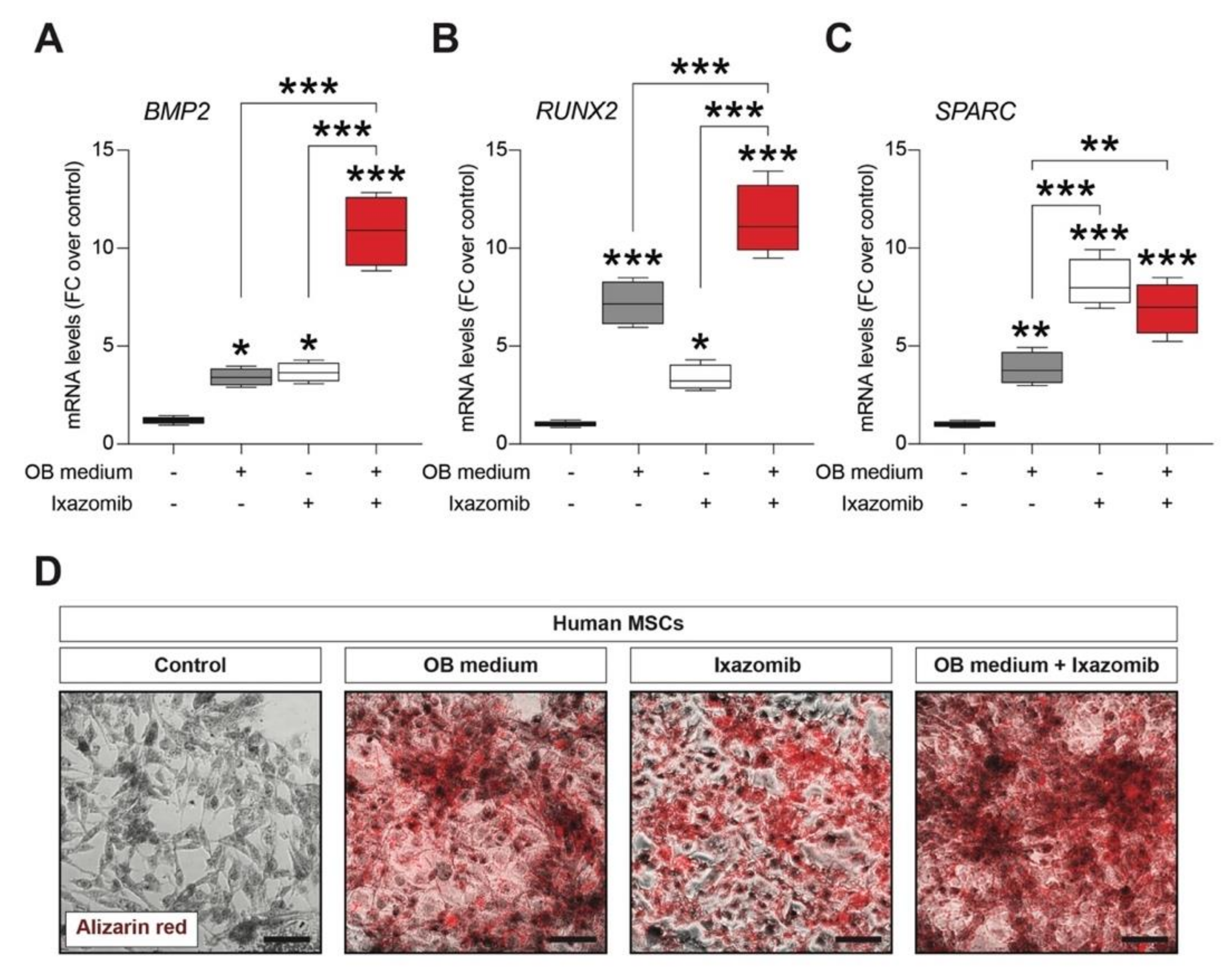 Cancers 12 00323 g002