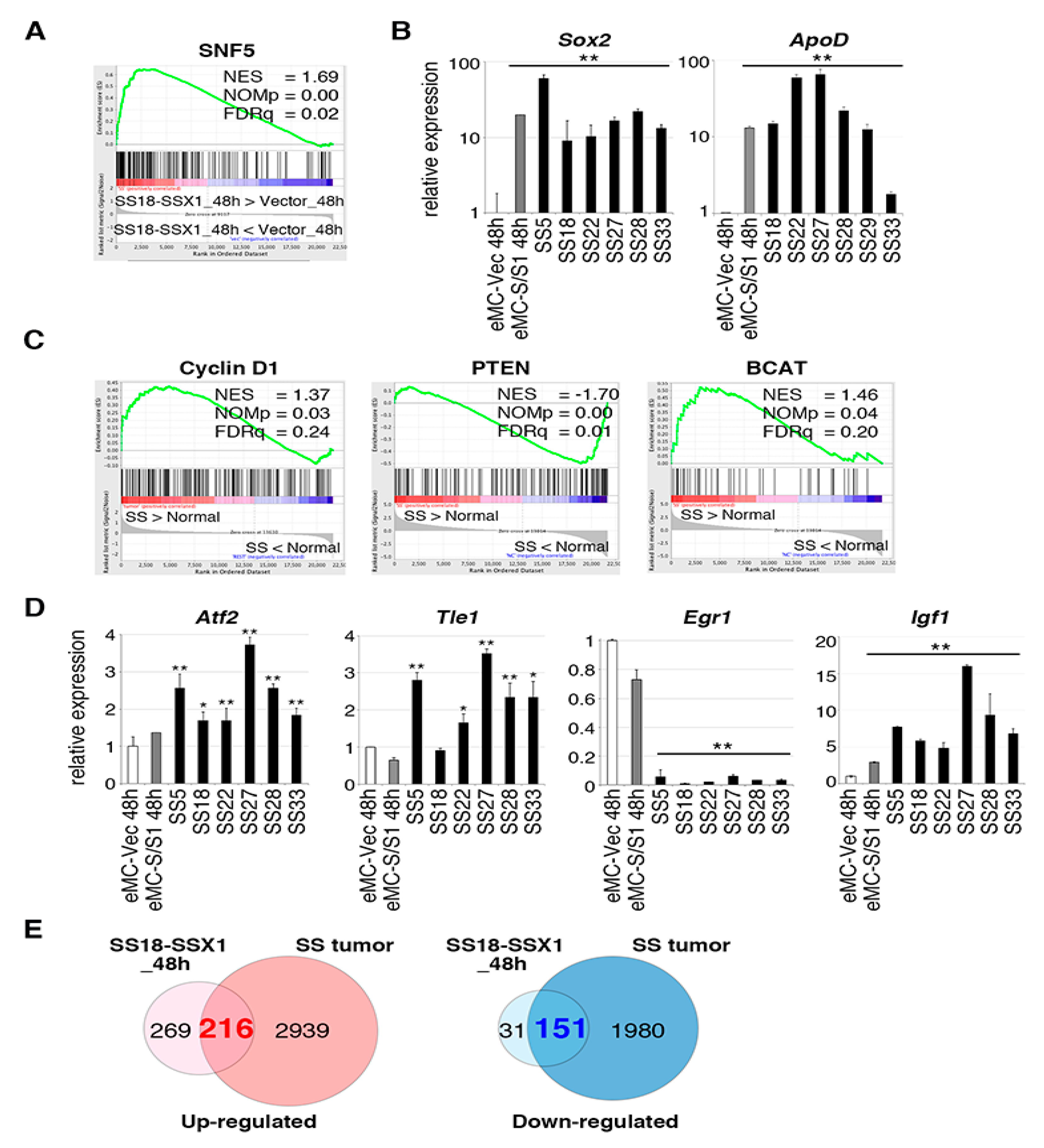 Cancers 12 00324 g002 Cancers 12 00324 g002