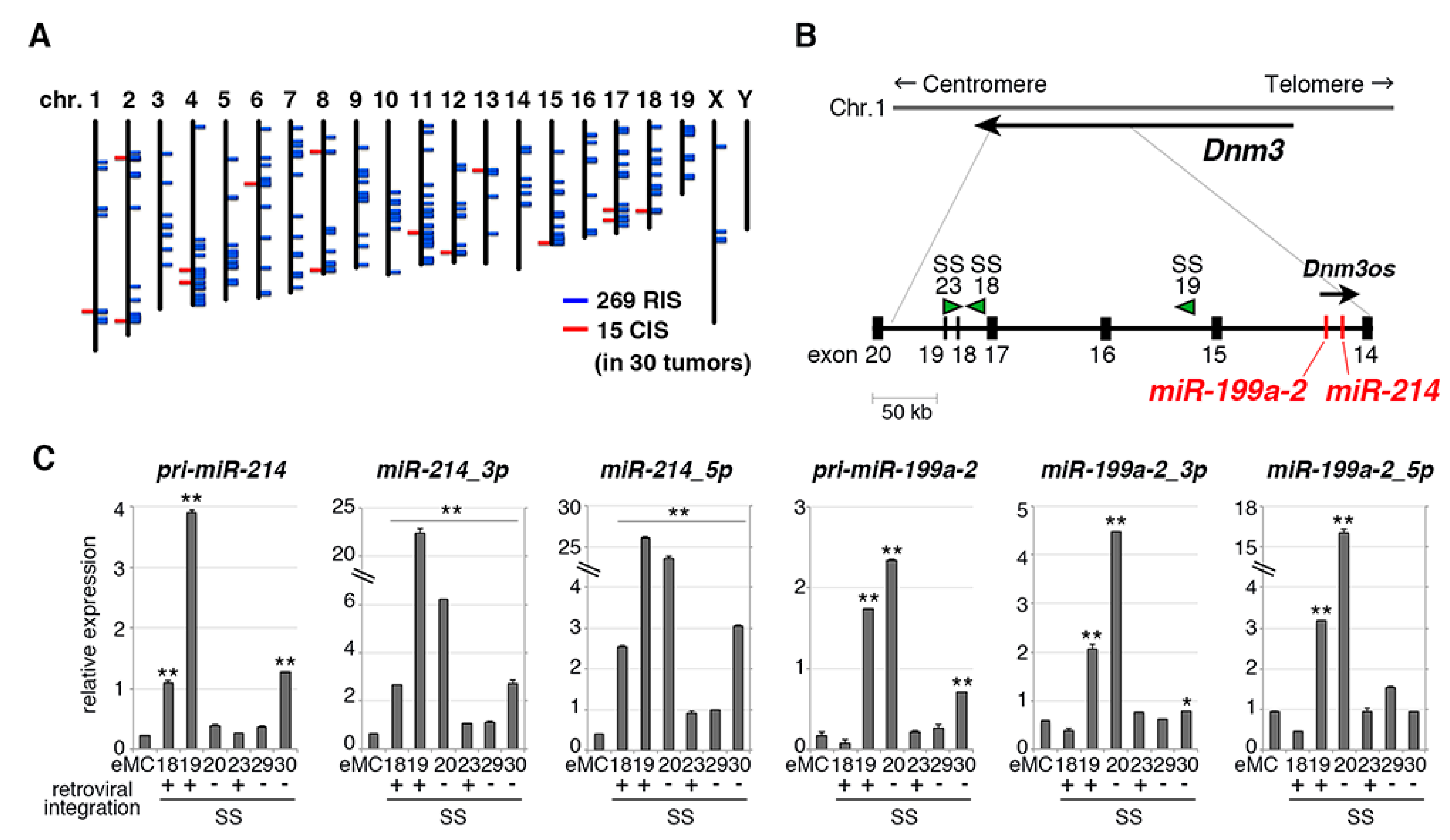 Cancers 12 00324 g003 Cancers 12 00324 g003