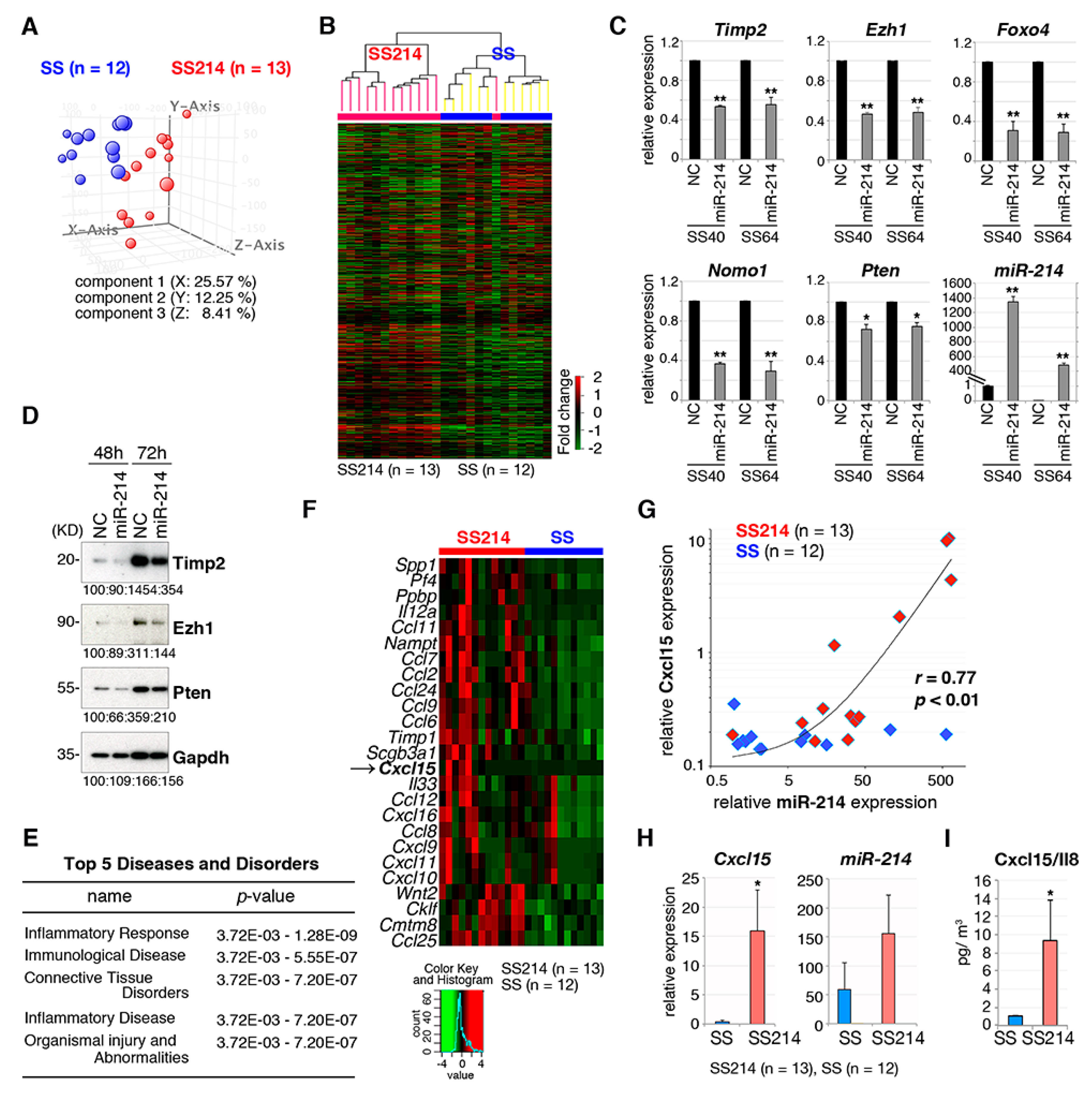 Cancers 12 00324 g005 Cancers 12 00324 g005