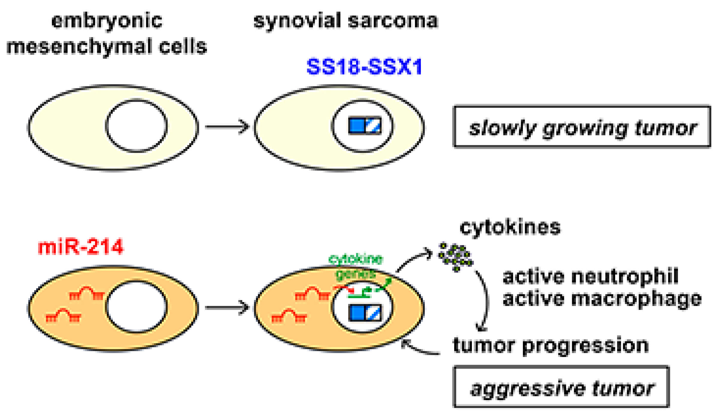 Cancers 12 00324 g006 Cancers 12 00324 g006