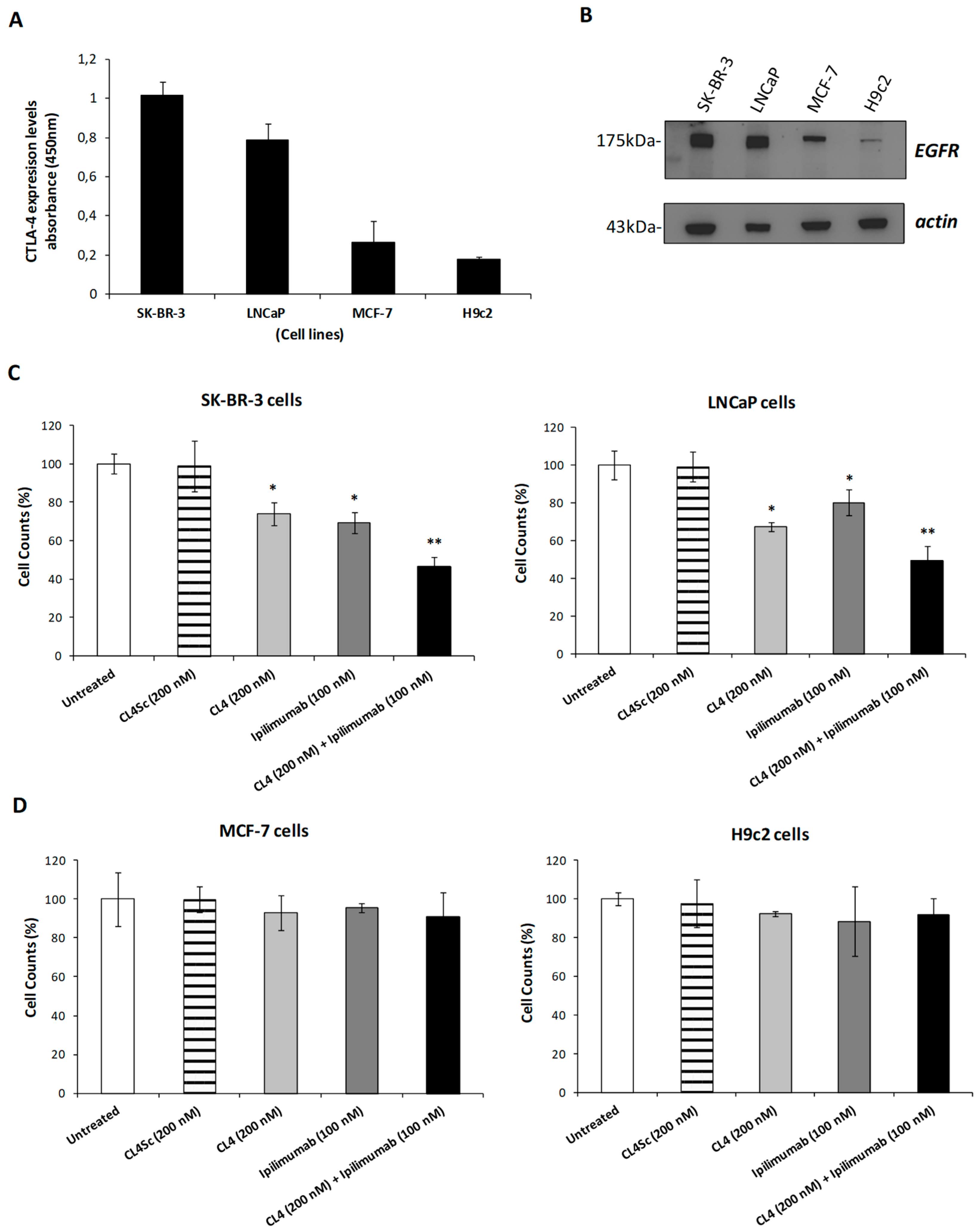 Cancers 12 00331 g001 Cancers 12 00331 g001