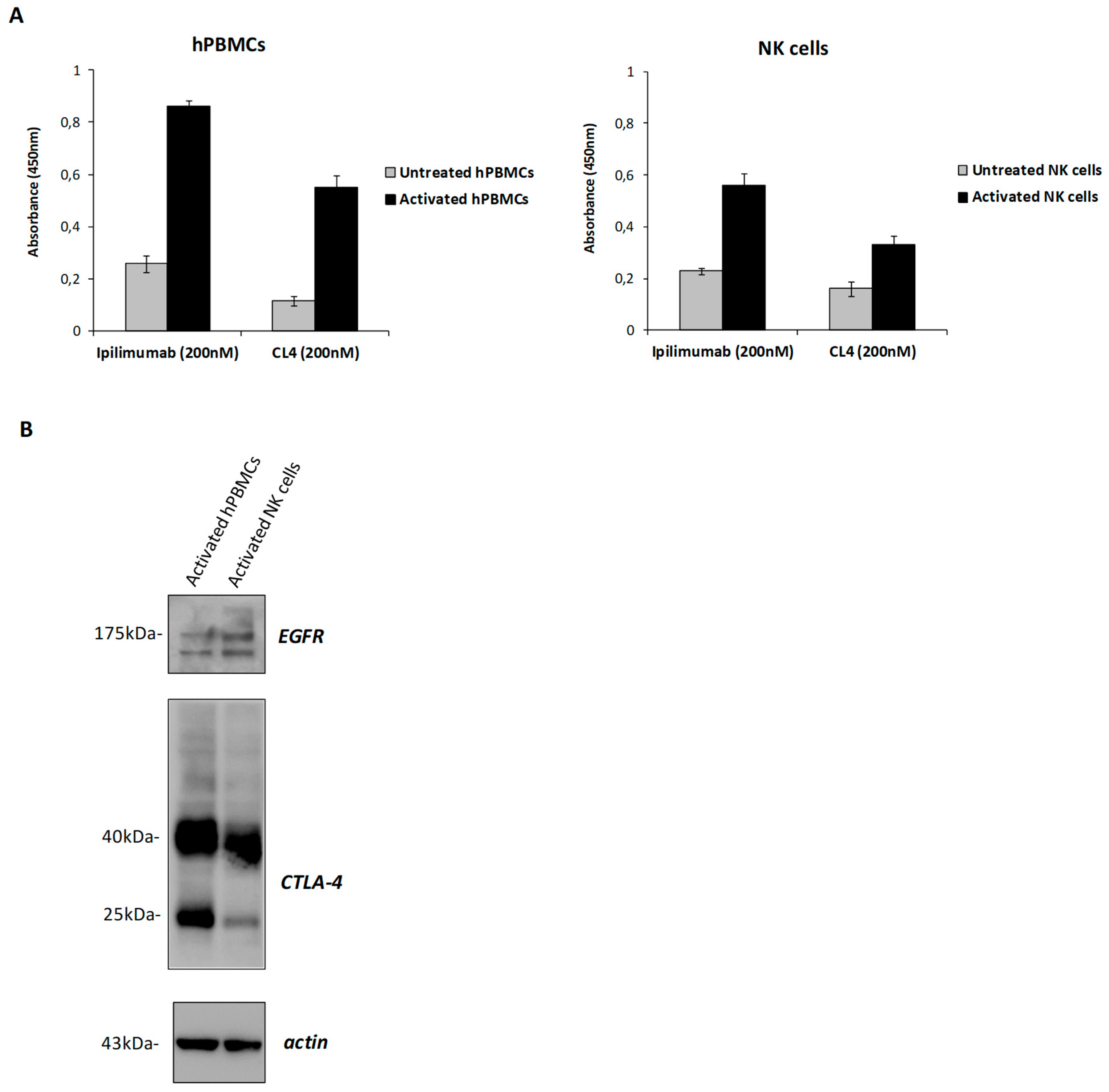 Cancers 12 00331 g005 Cancers 12 00331 g005