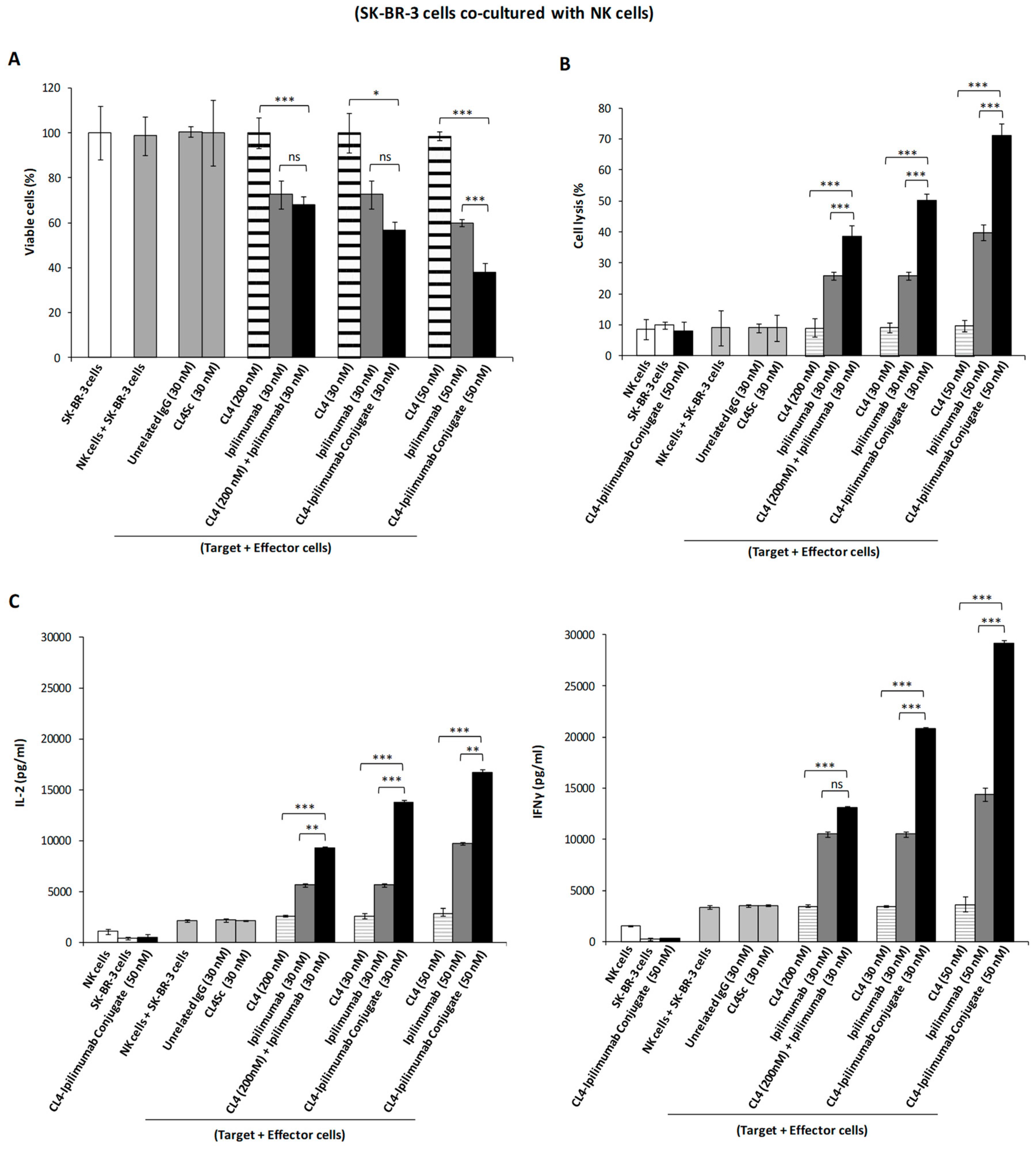 Cancers 12 00331 g007 Cancers 12 00331 g007