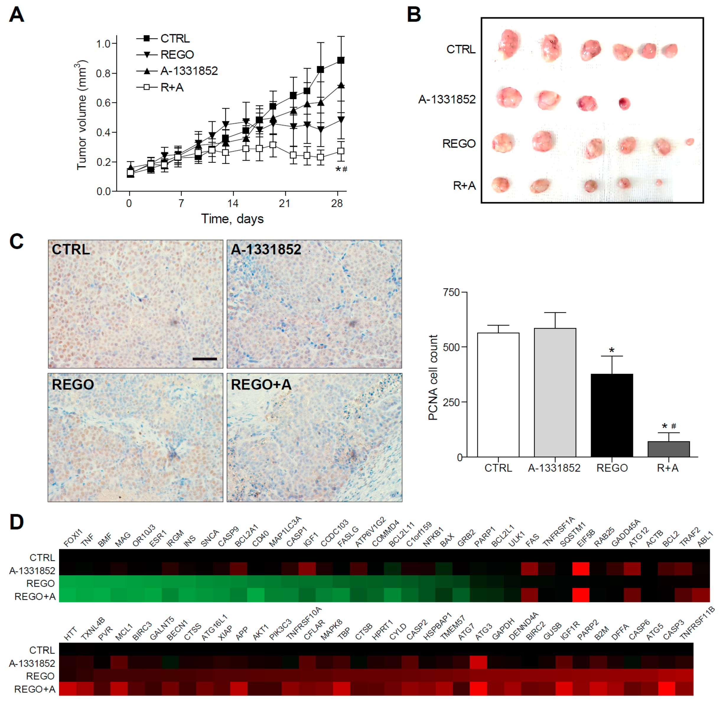 Cancers 12 00332 g006 Cancers 12 00332 g006