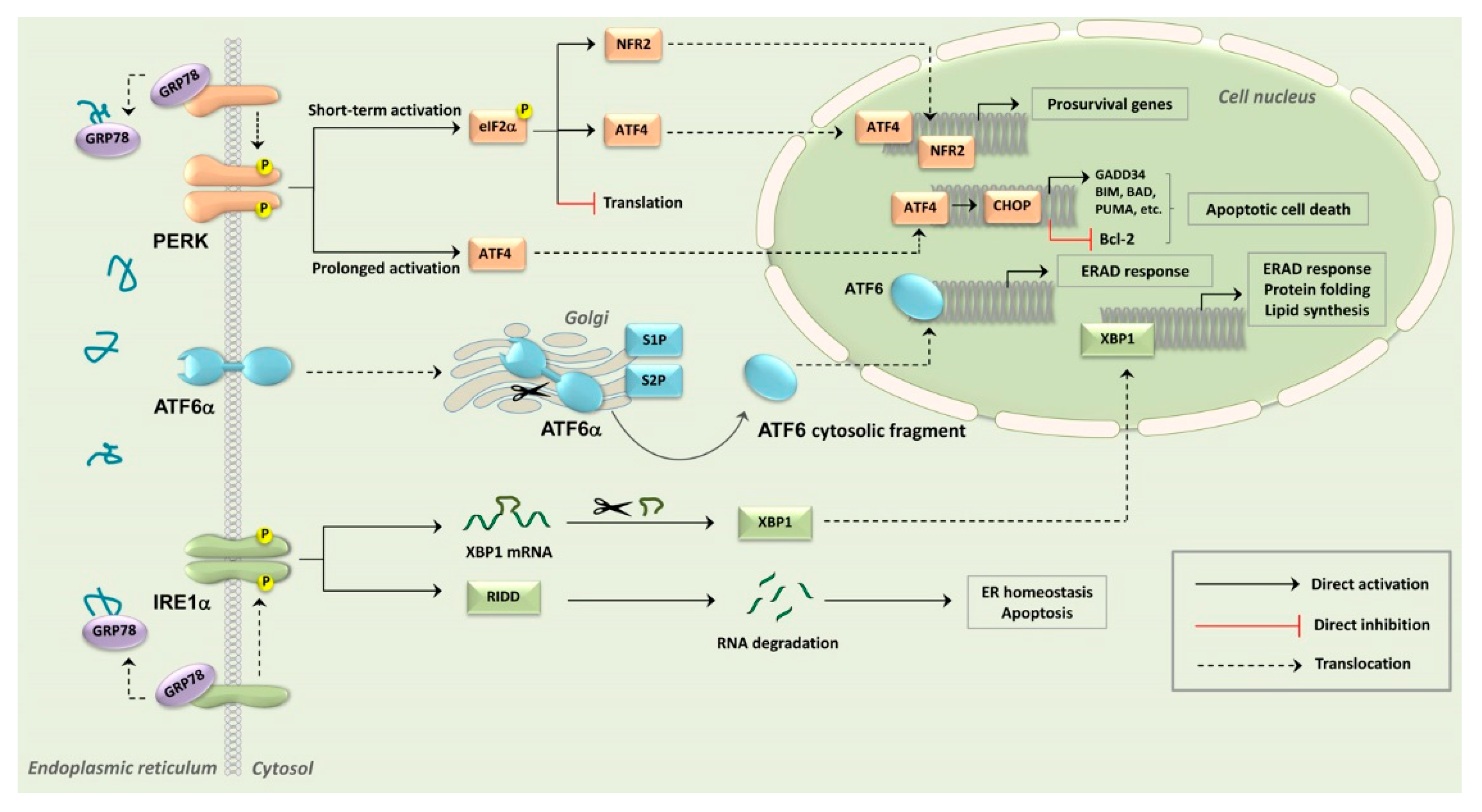 Cancers 12 00333 g001 Cancers 12 00333 g001