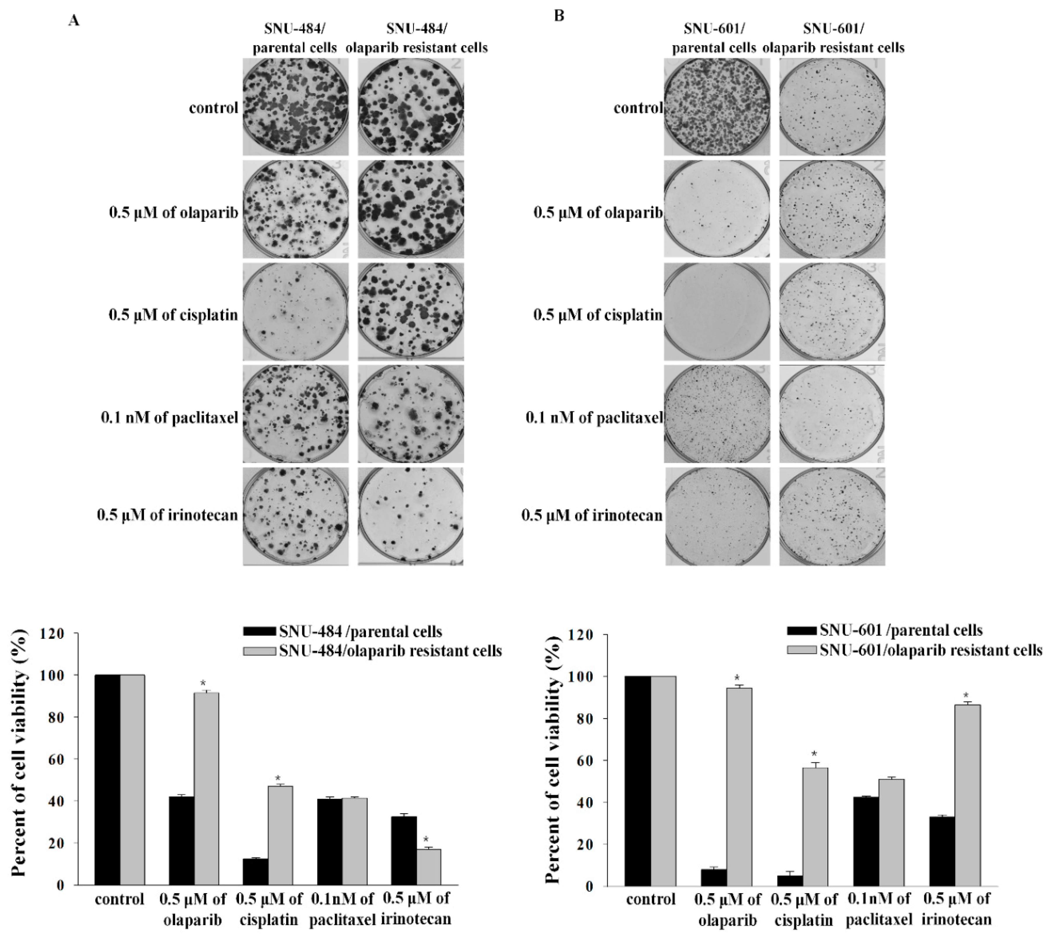 Cancers 12 00334 g001a