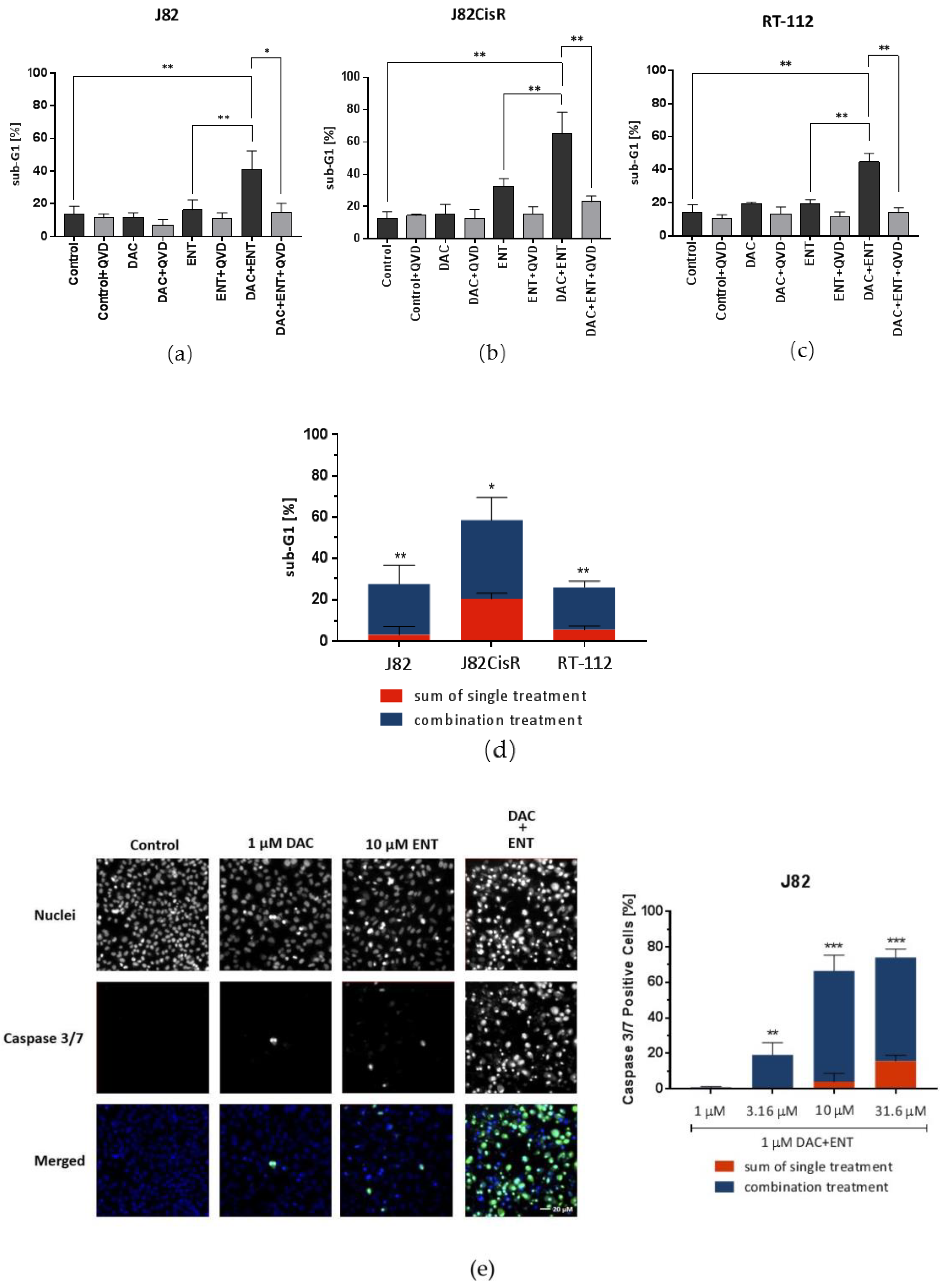 Cancers 12 00337 g003a Cancers 12 00337 g003a