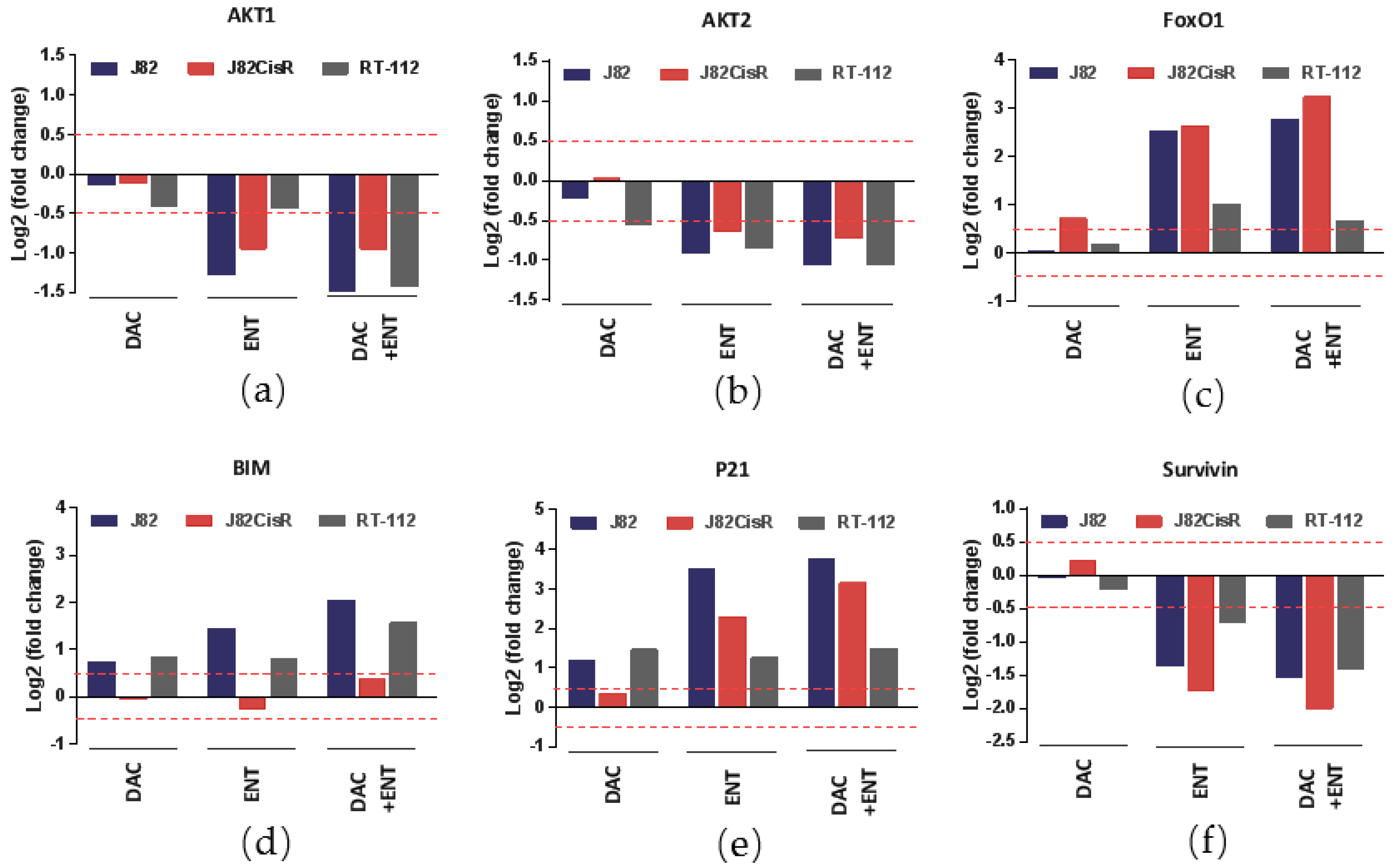 Cancers 12 00337 g005 Cancers 12 00337 g005