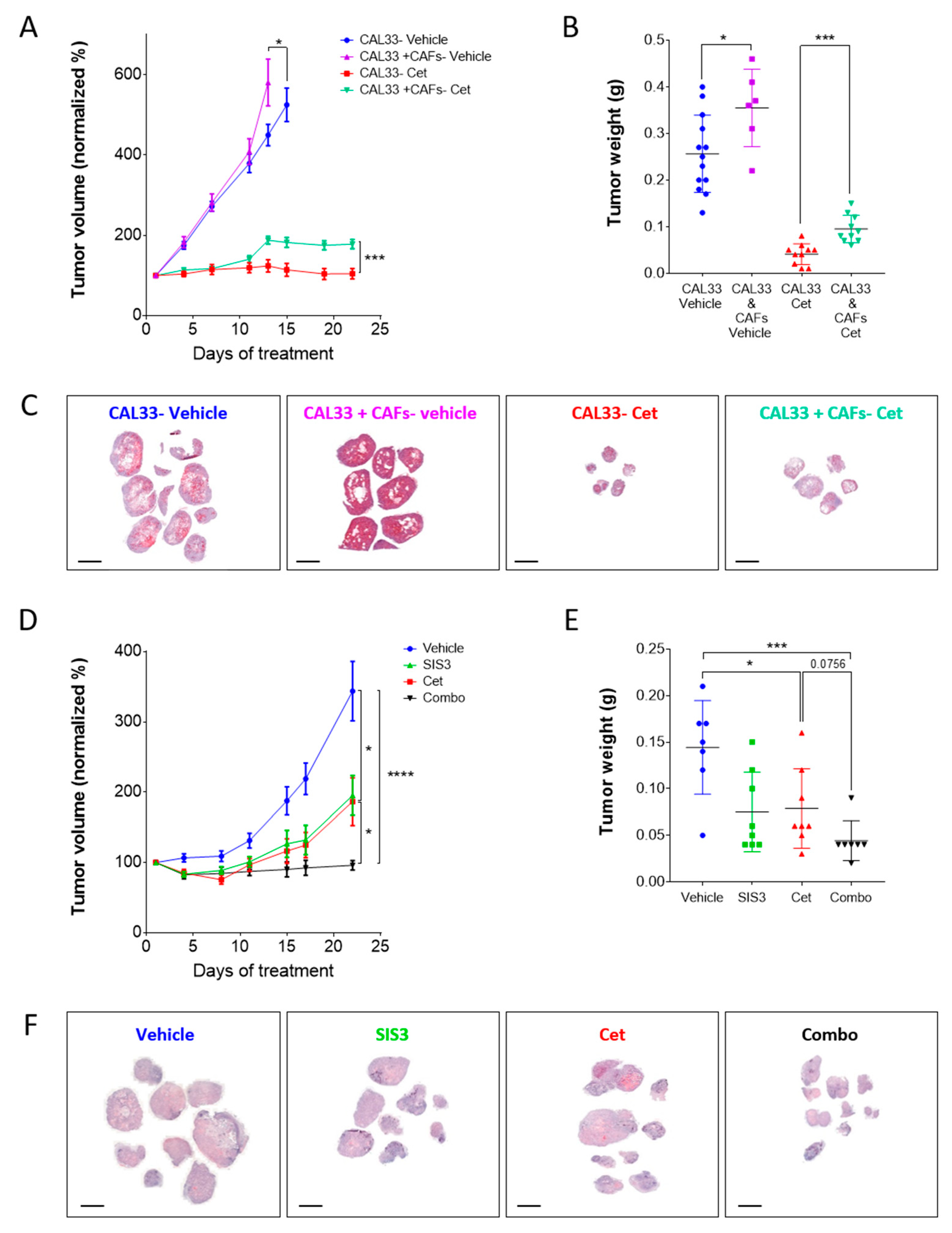 Cancers 12 00339 g004 Cancers 12 00339 g004