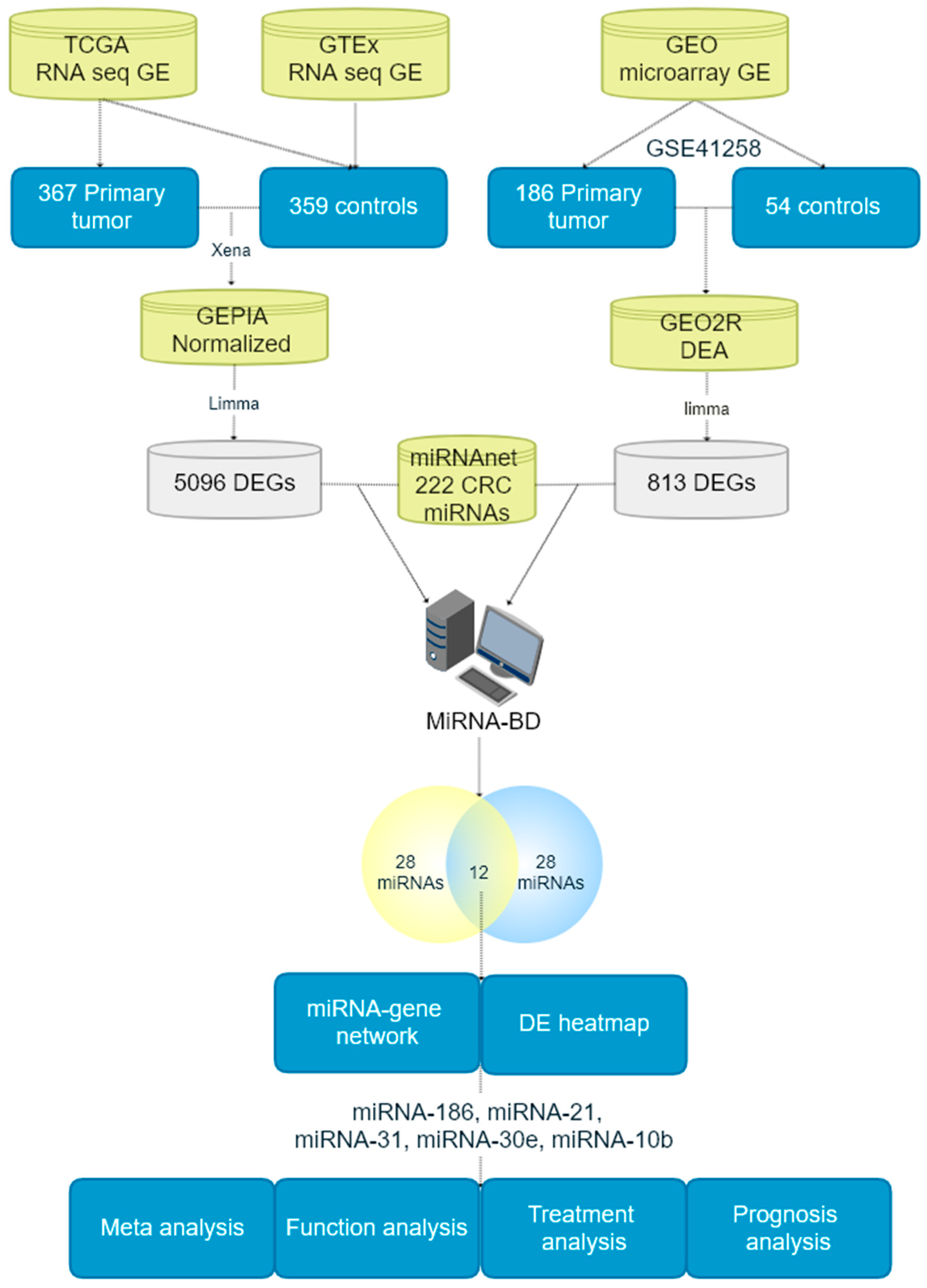Cancers 12 00341 g001