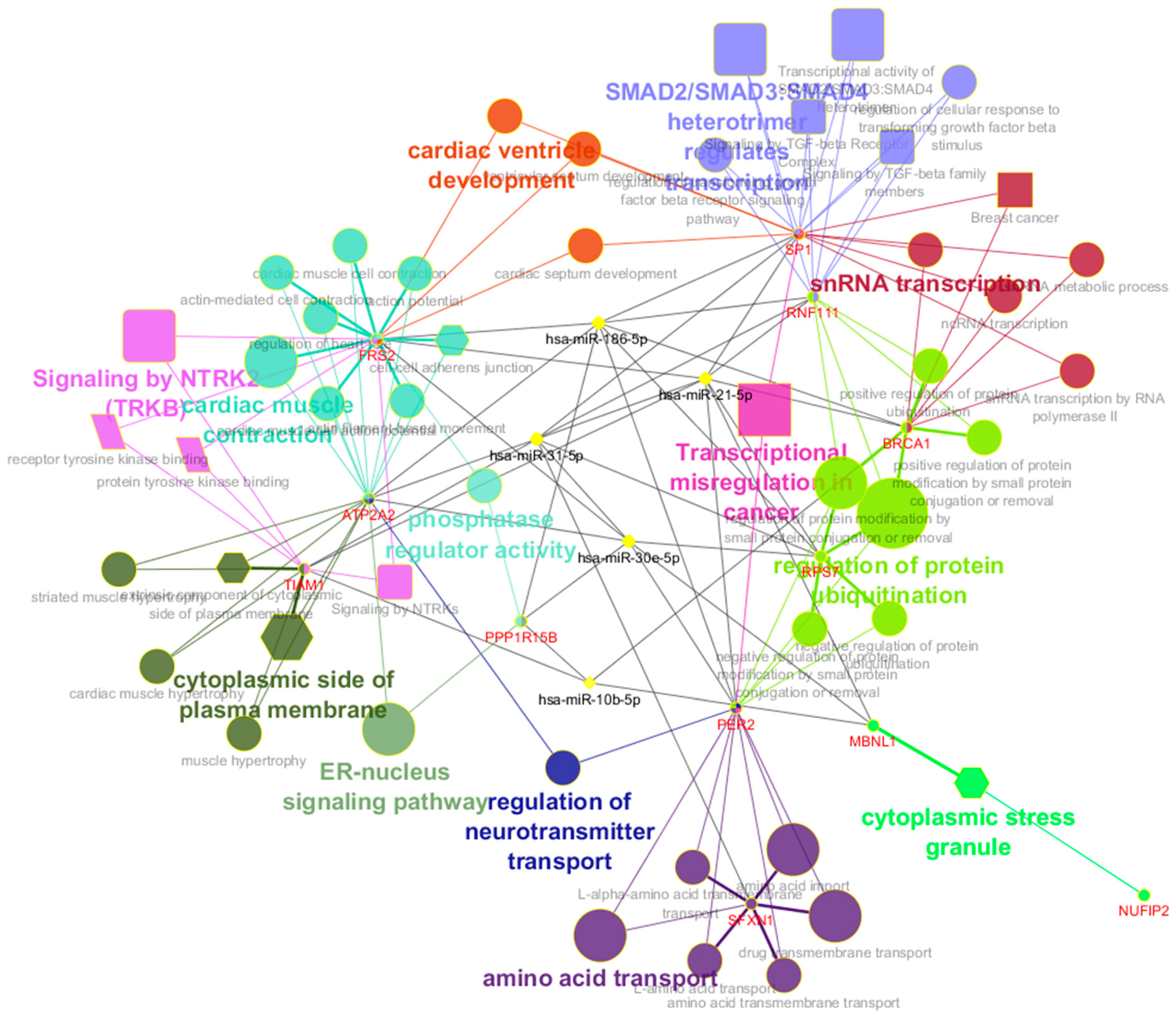 Cancers 12 00341 g005