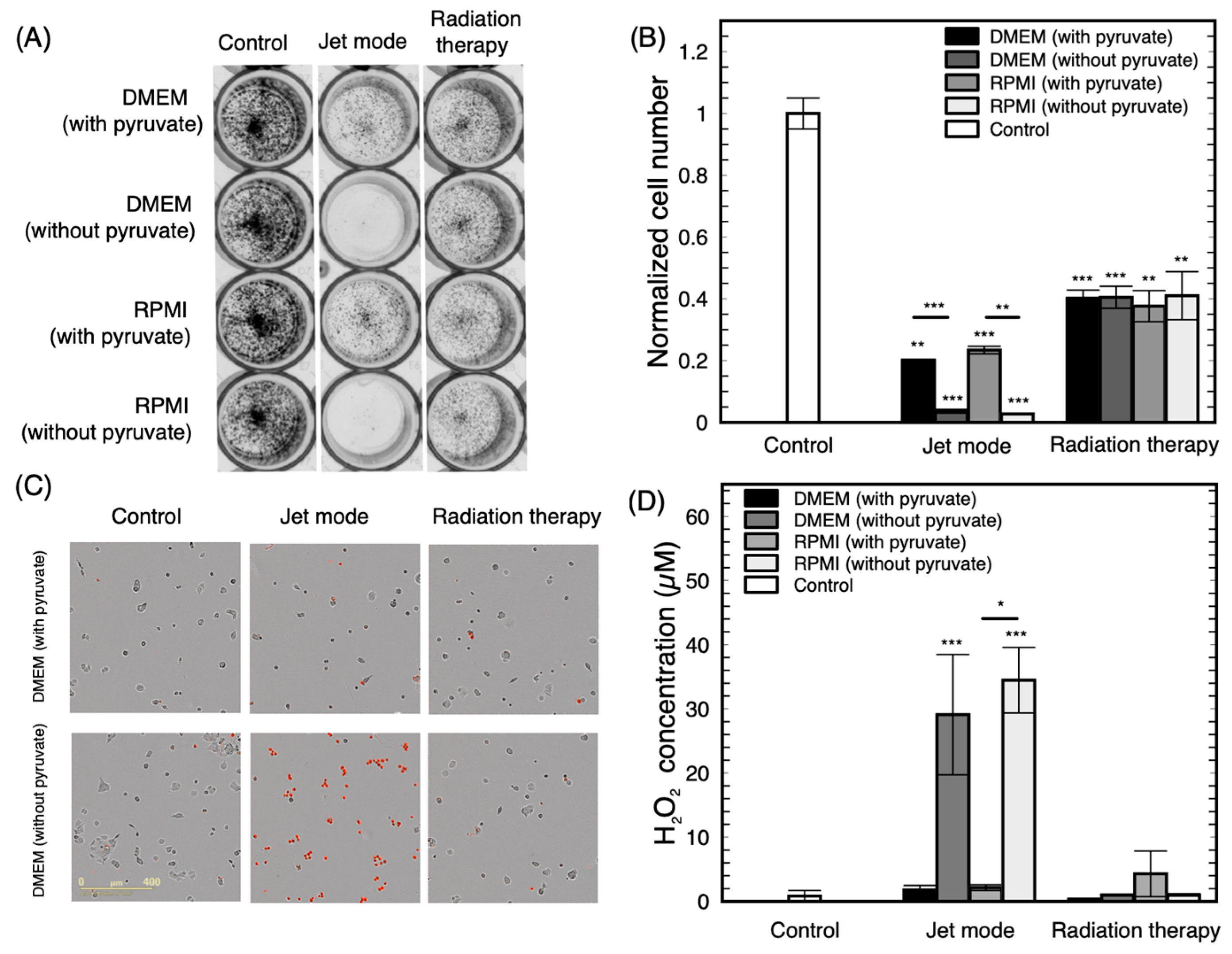 Cancers 12 00348 g0a1 Cancers 12 00348 g0a1