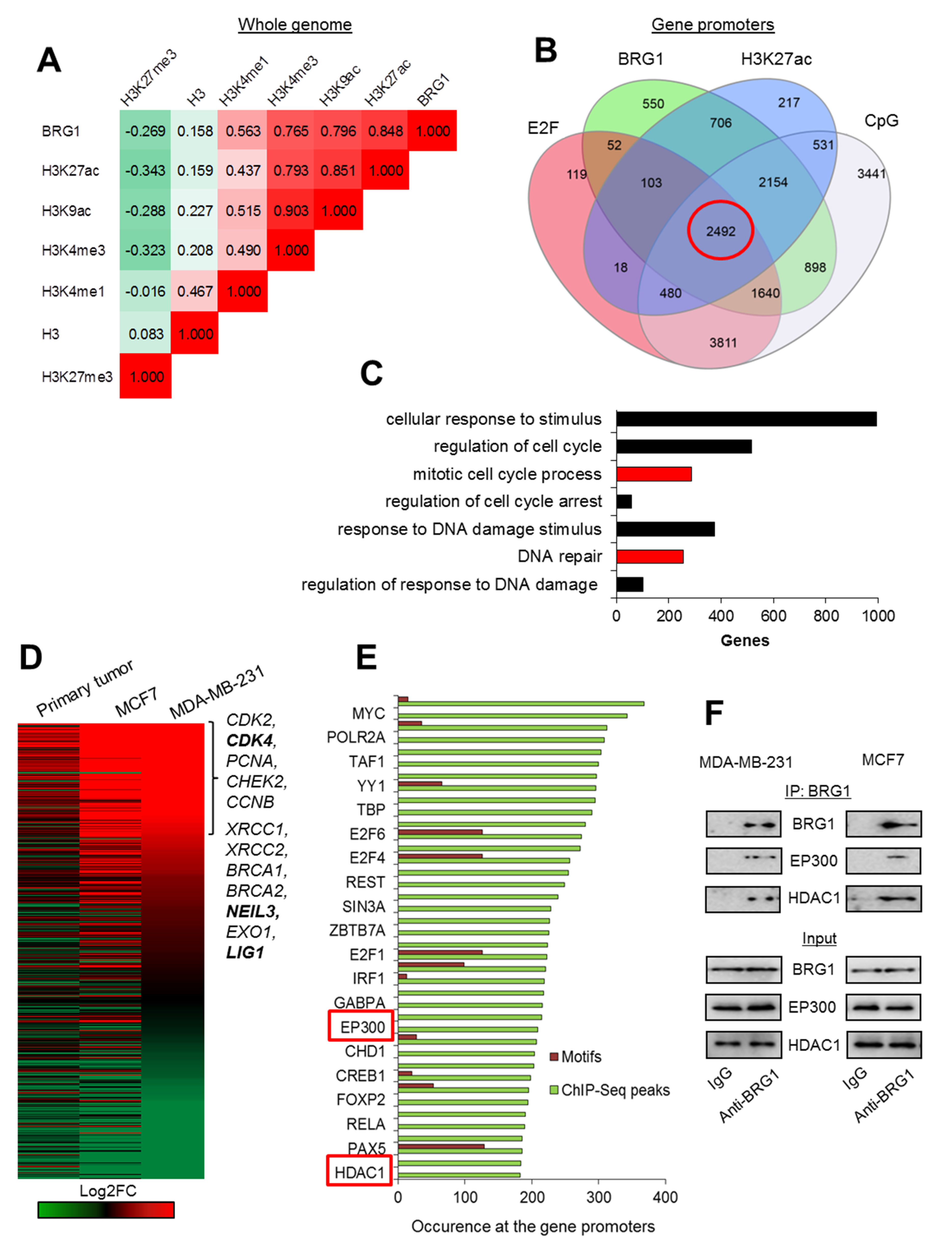 Cancers 12 00349 g001