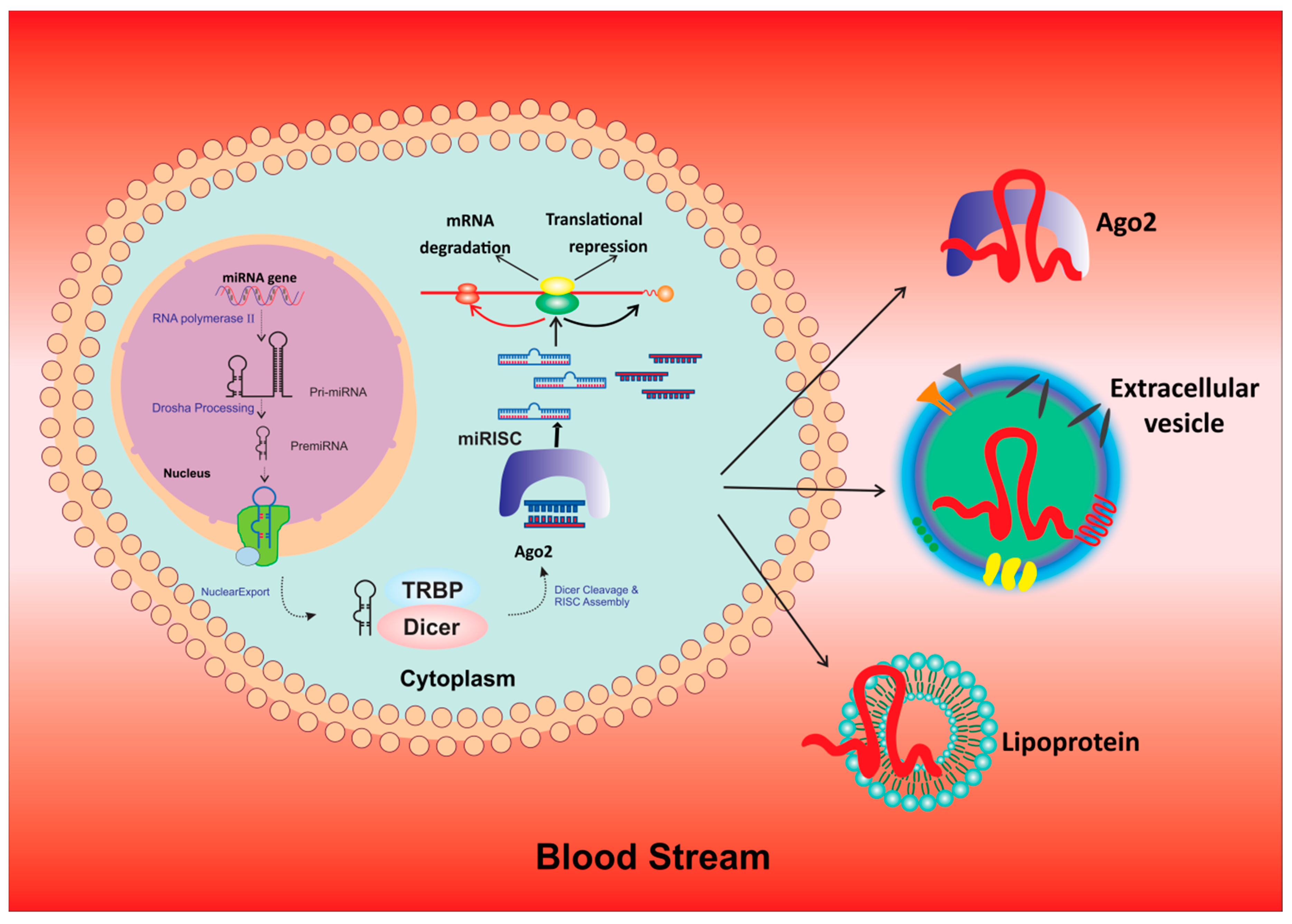 Cancers 12 00351 g001