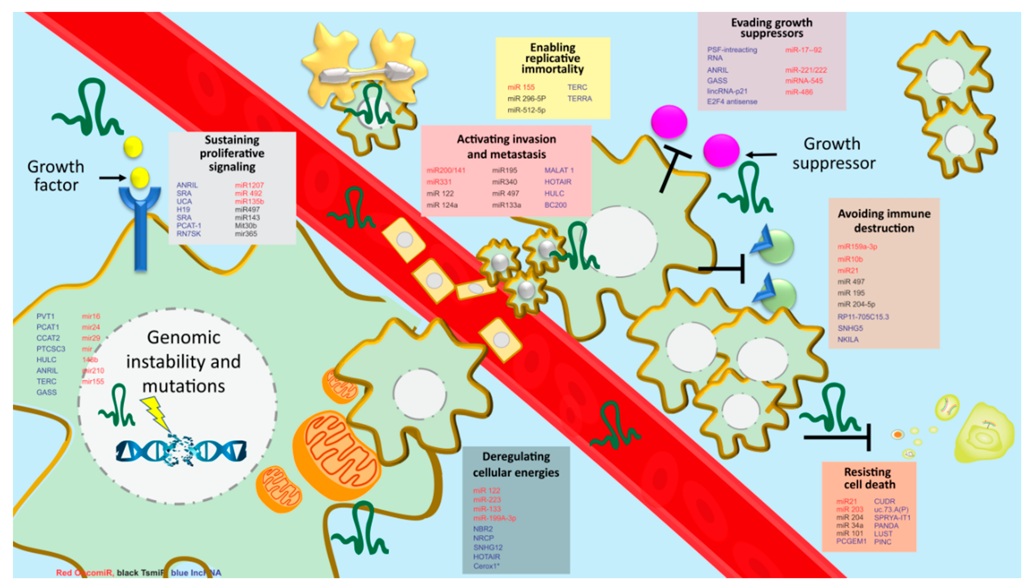 Cancers 12 00351 g003