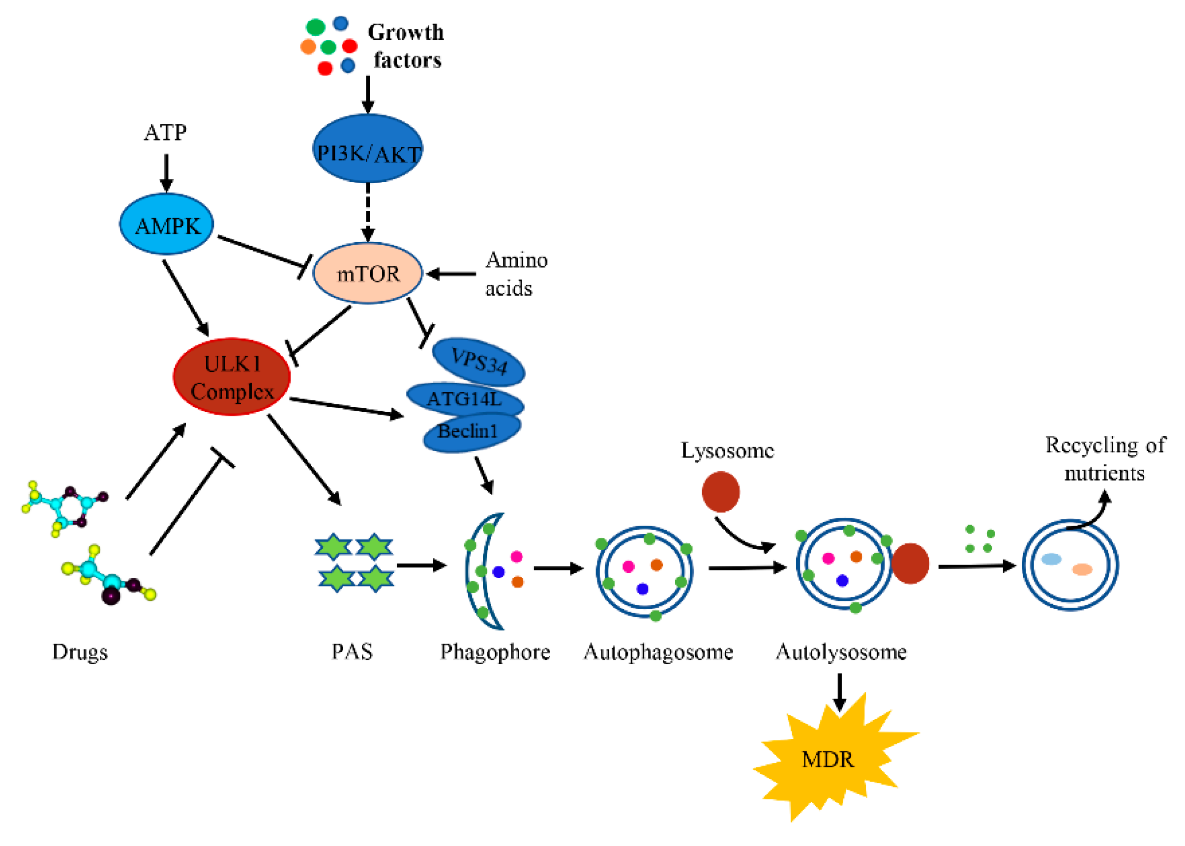 Cancers 12 00352 g003 Cancers 12 00352 g003