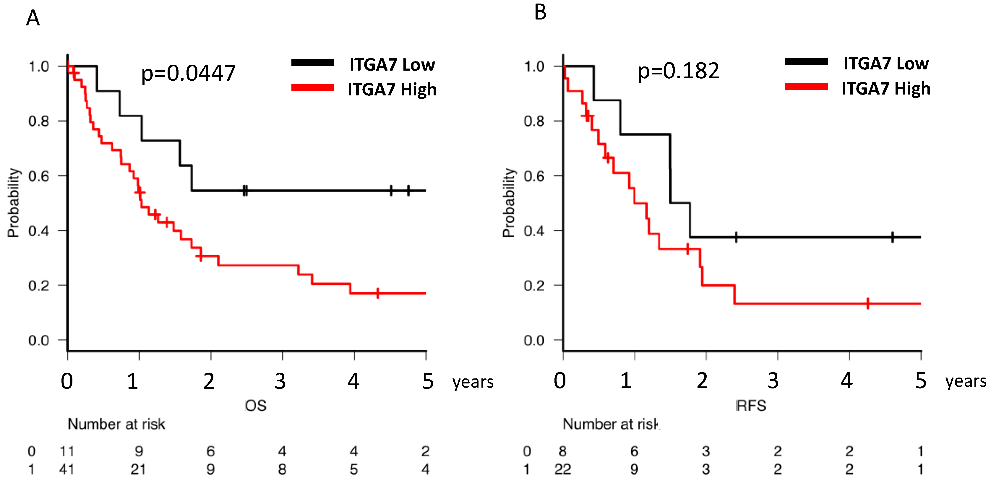 Cancers 12 00363 g005 Cancers 12 00363 g005