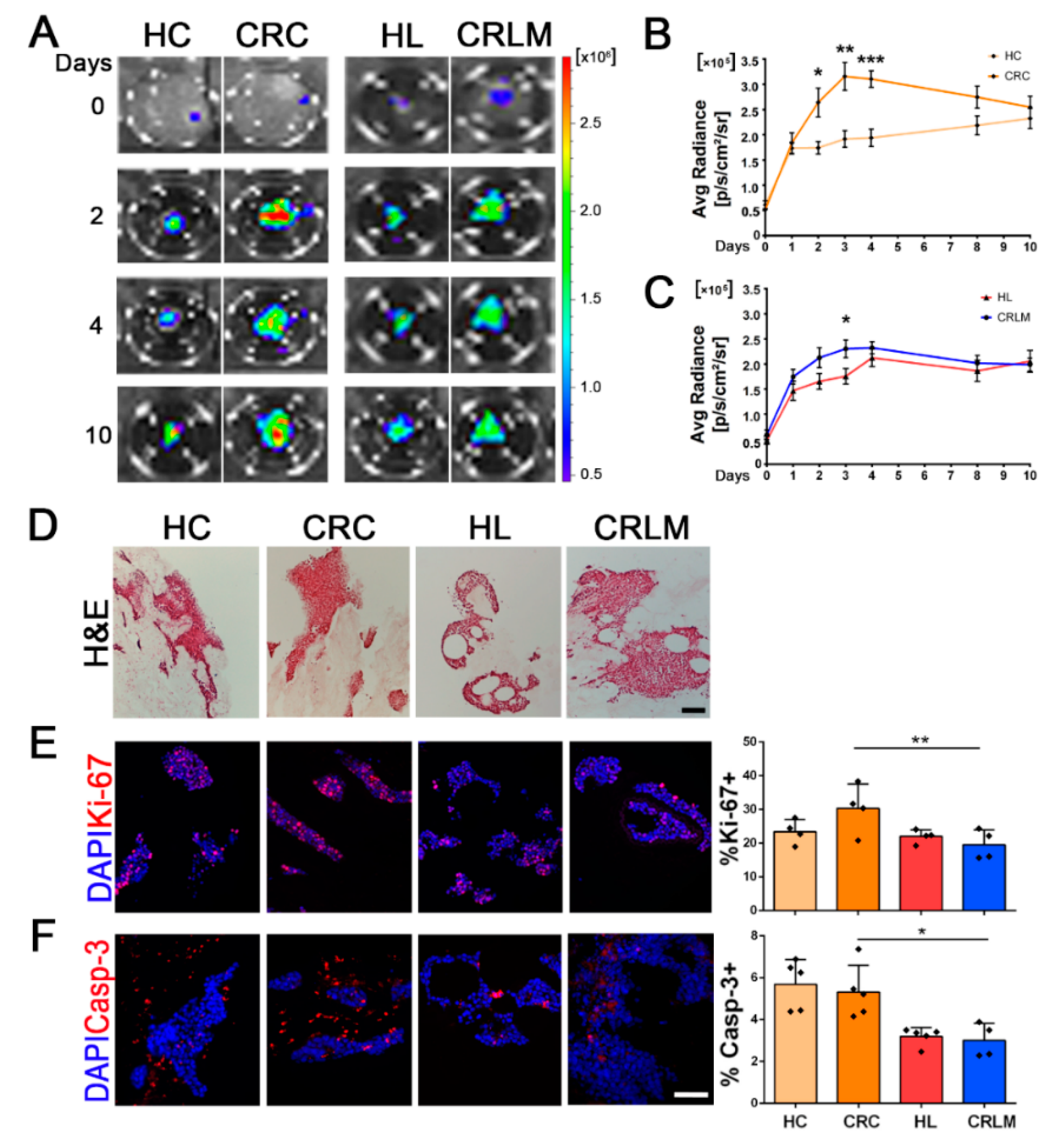 Cancers 12 00364 g002 Cancers 12 00364 g002