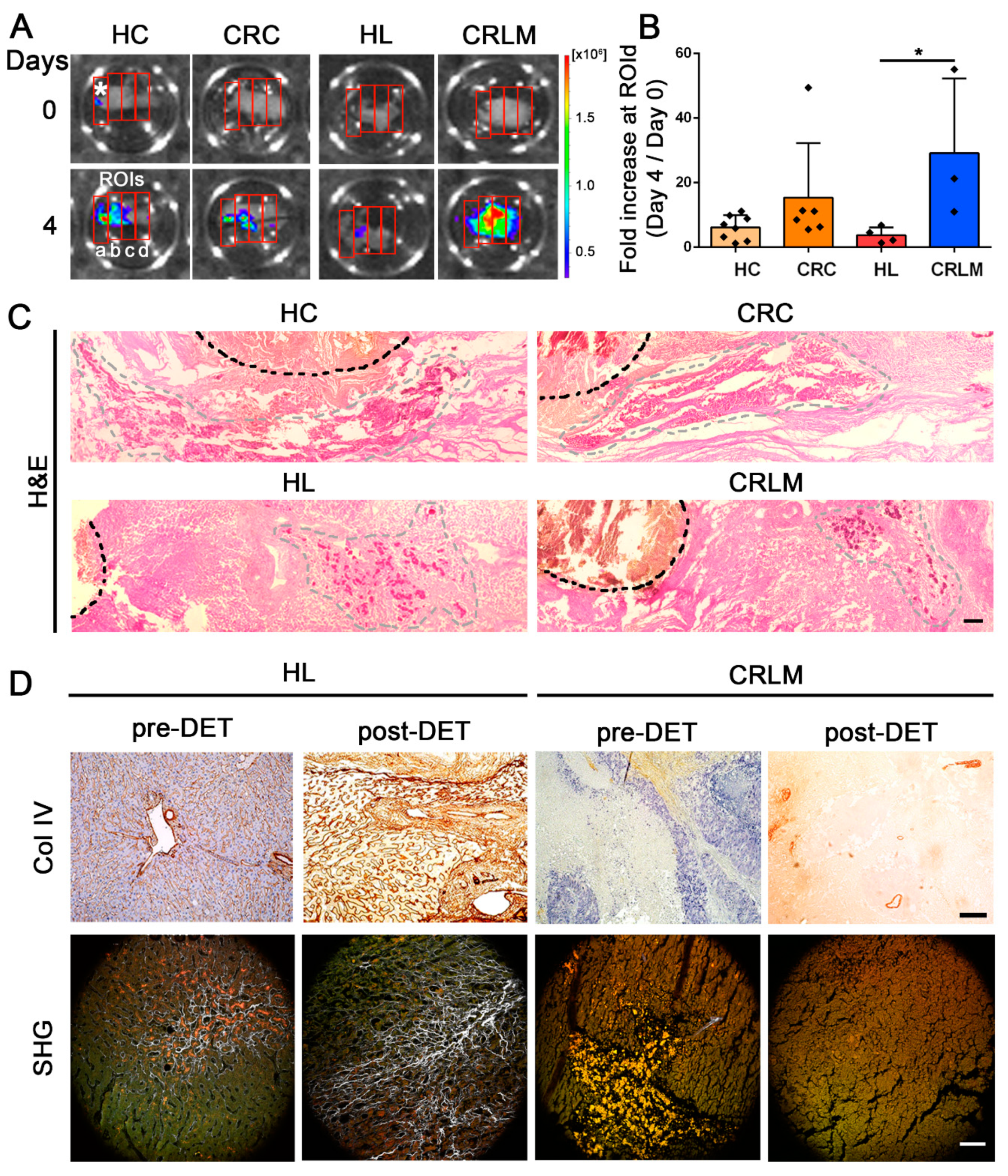 Cancers 12 00364 g003 Cancers 12 00364 g003