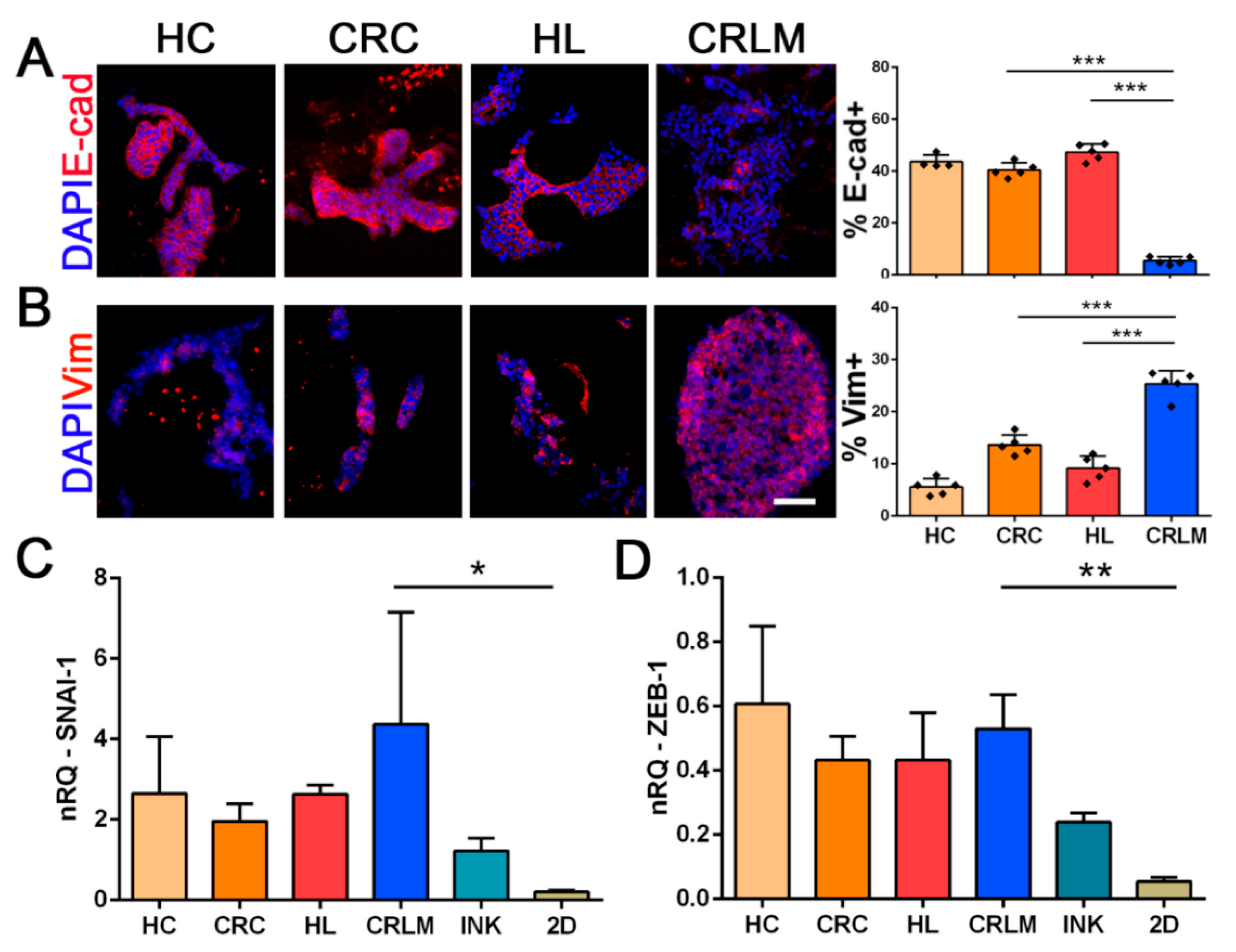 Cancers 12 00364 g004 Cancers 12 00364 g004