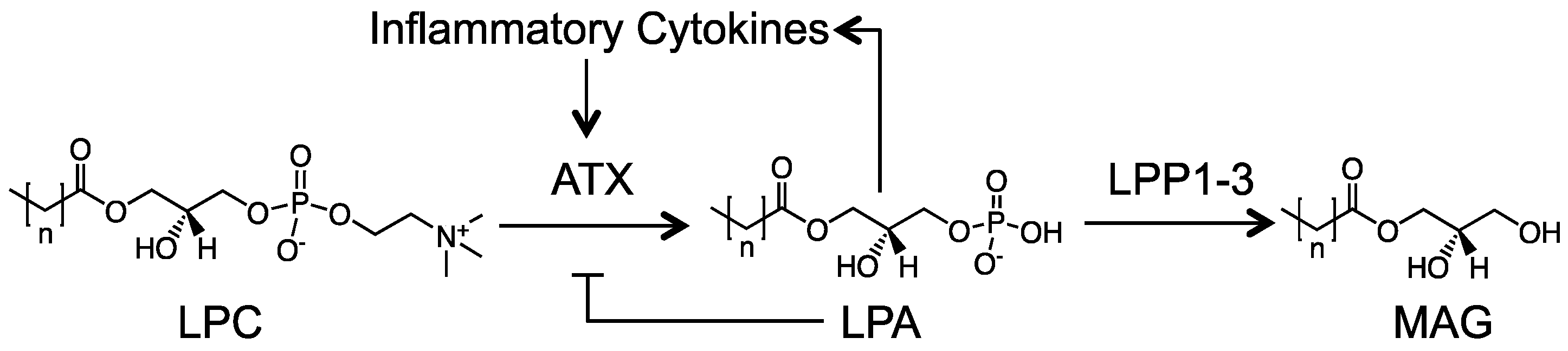 Cancers 12 00374 g001