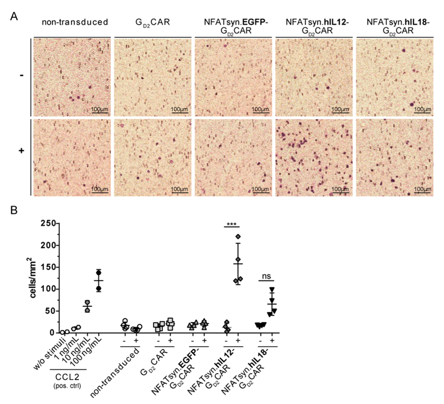 Cancers 12 00375 g007 Cancers 12 00375 g007