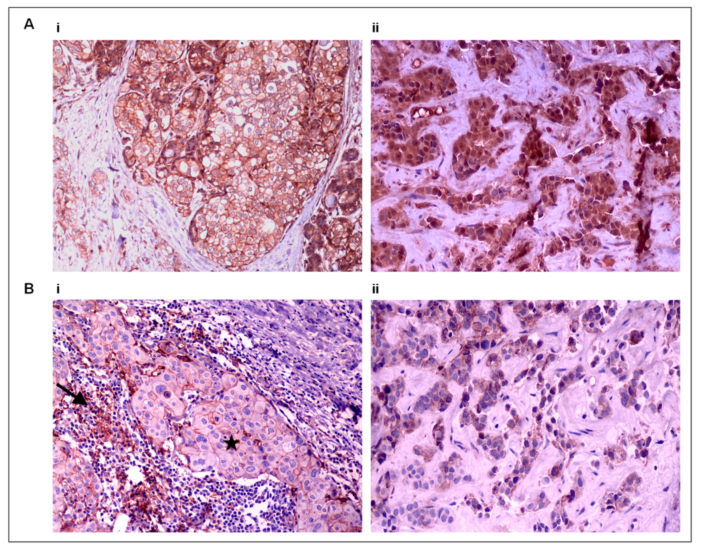 Cancers 12 00376 g004