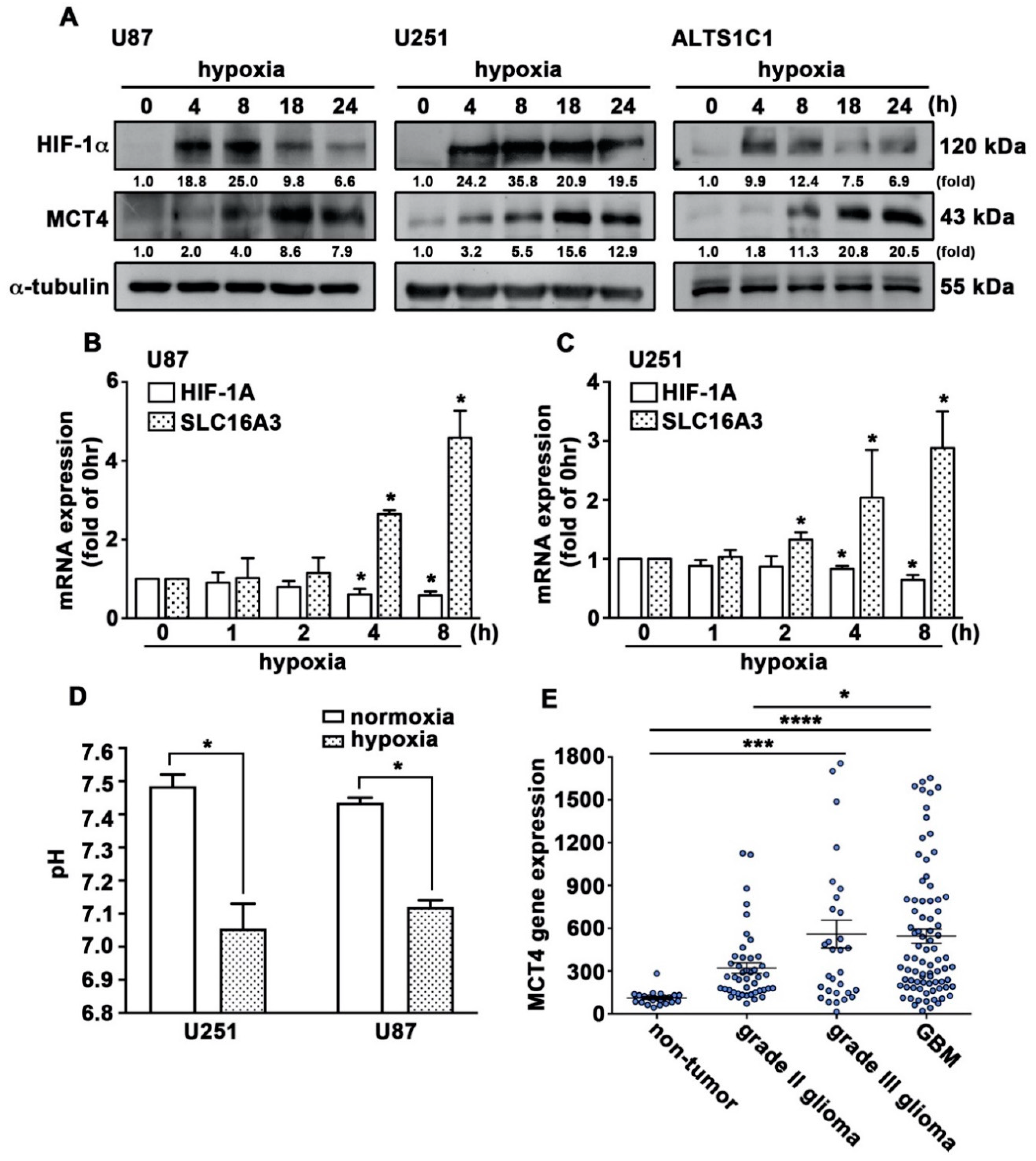 Cancers 12 00380 g001 Cancers 12 00380 g001