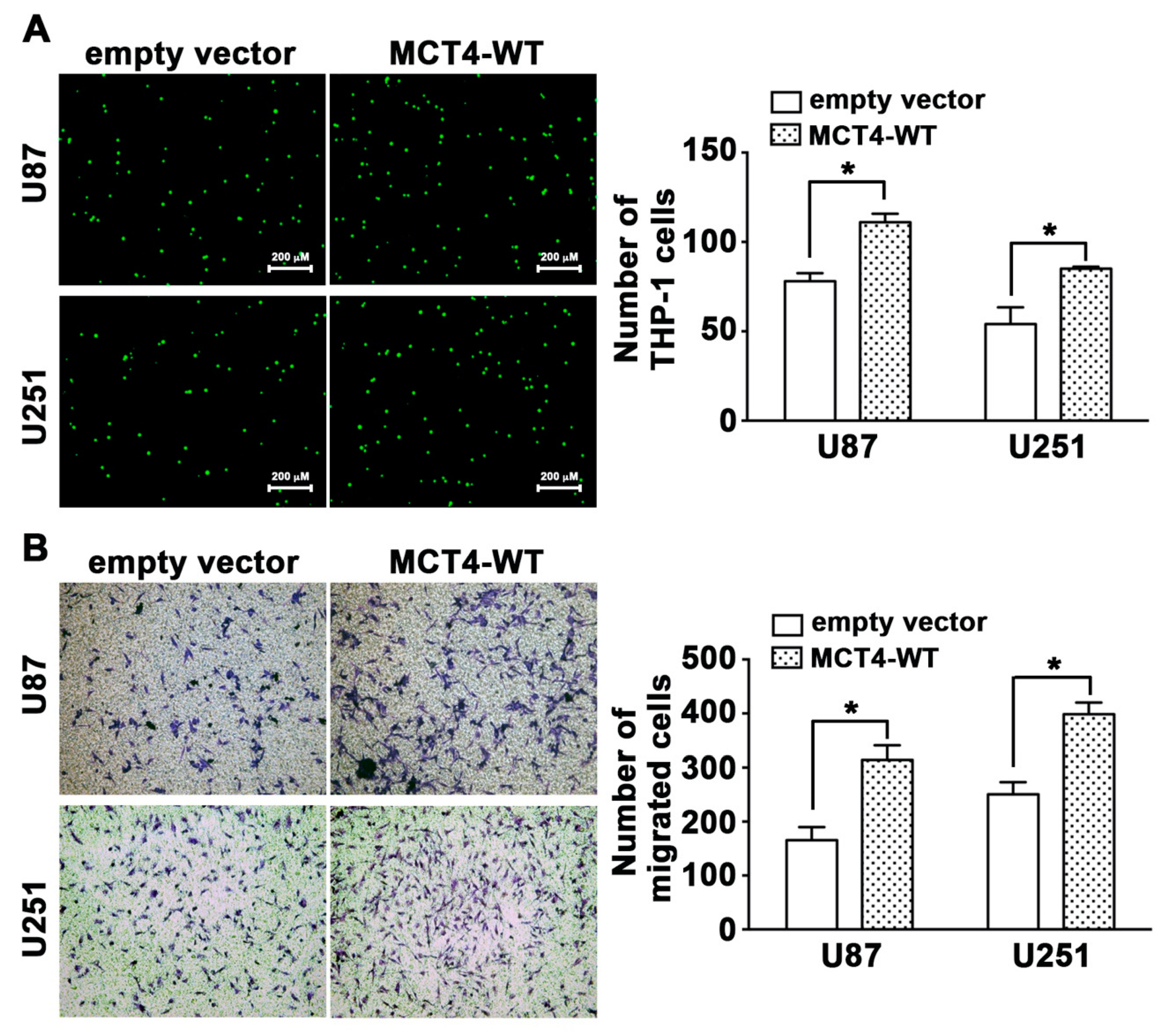 Cancers 12 00380 g004 Cancers 12 00380 g004