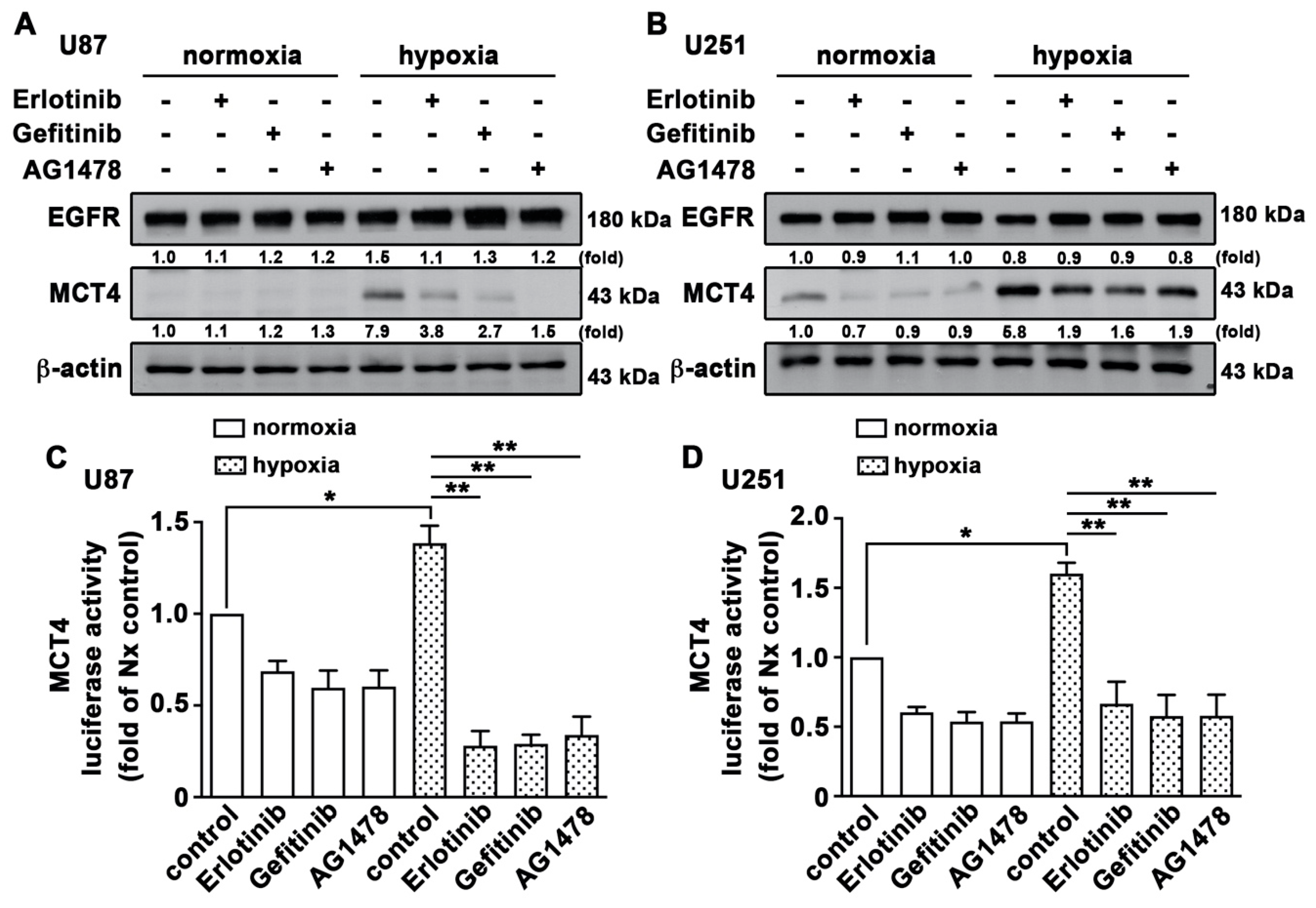 Cancers 12 00380 g008 Cancers 12 00380 g008