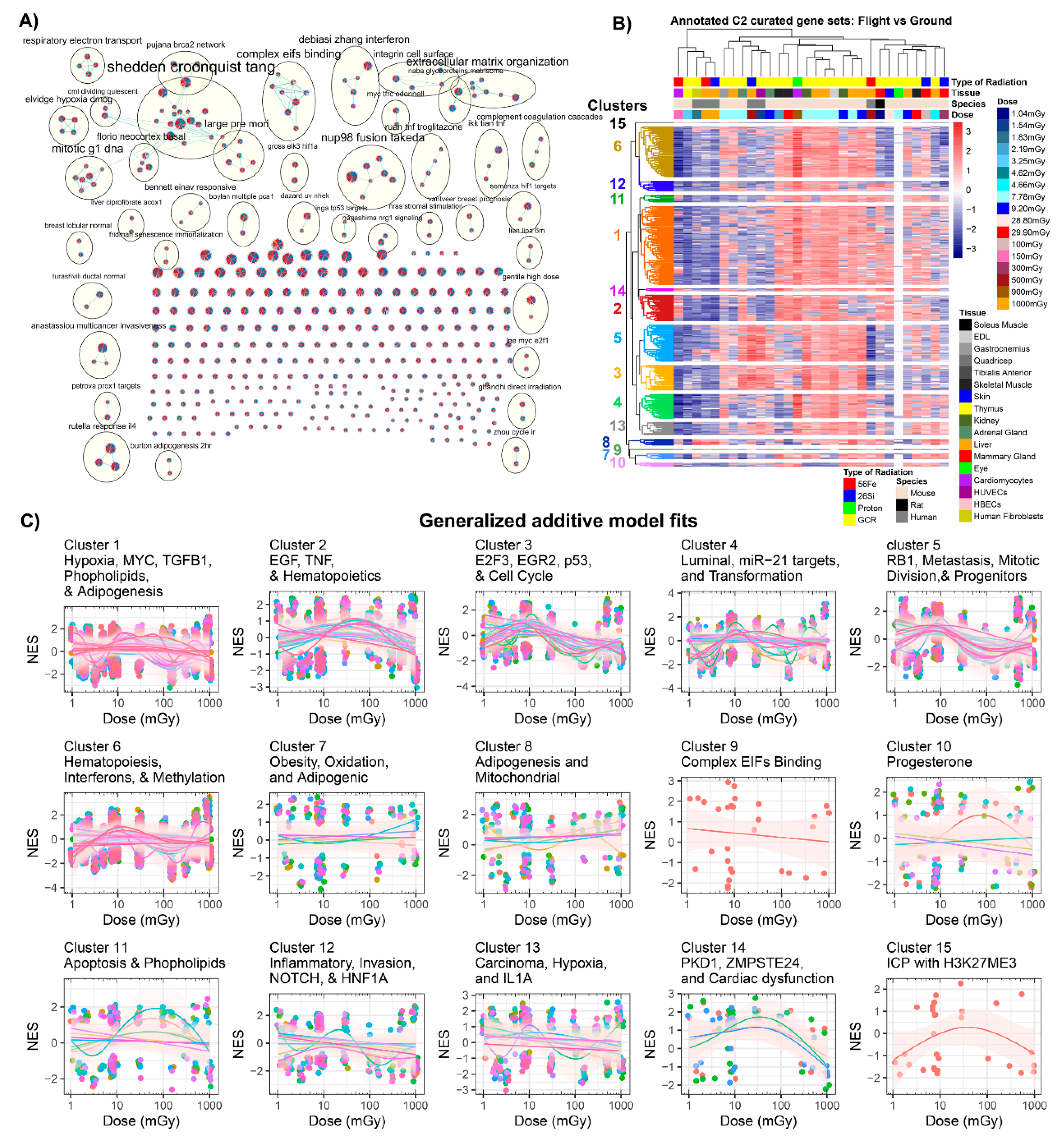 Cancers 12 00381 g006 Cancers 12 00381 g006