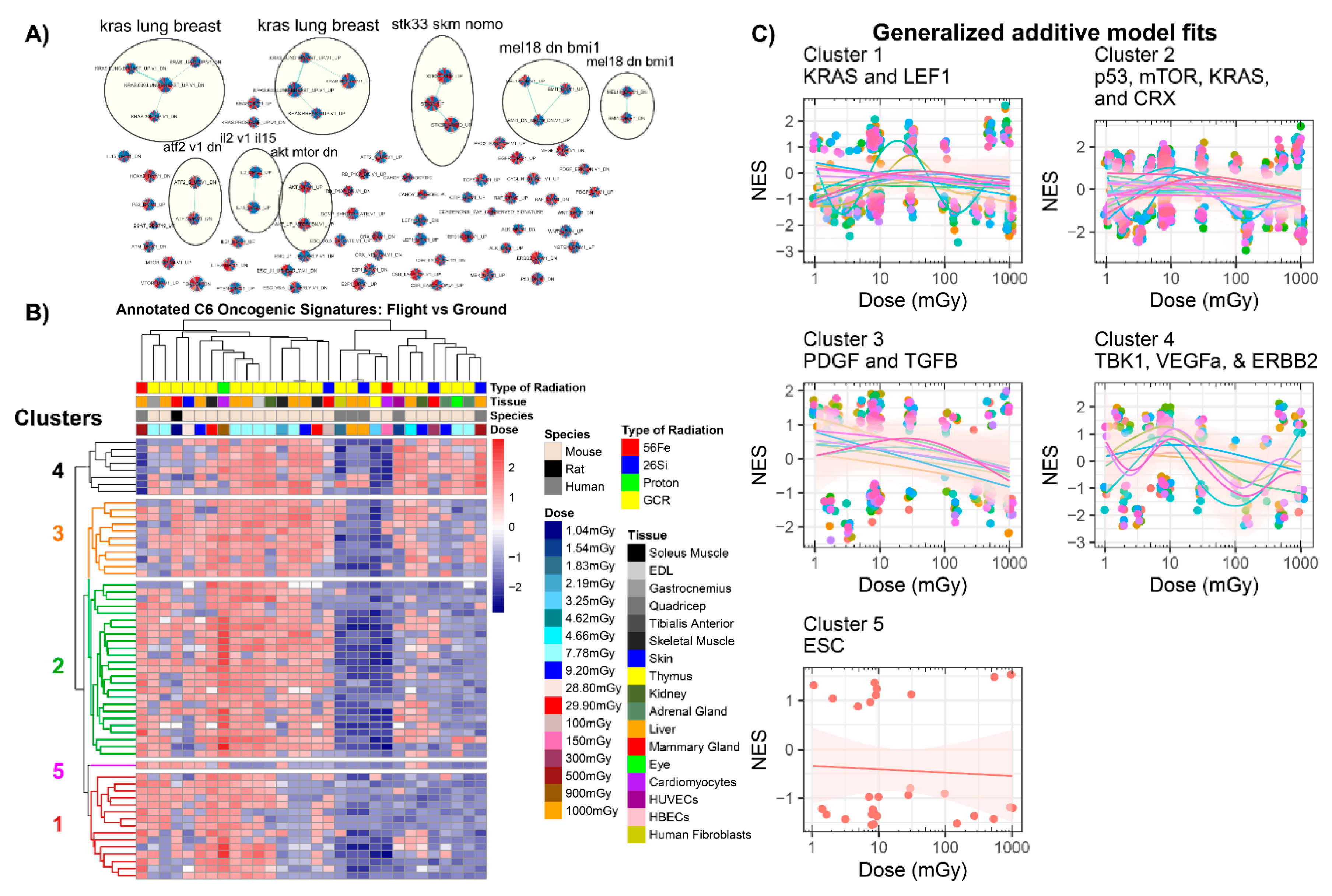 Cancers 12 00381 g007 Cancers 12 00381 g007
