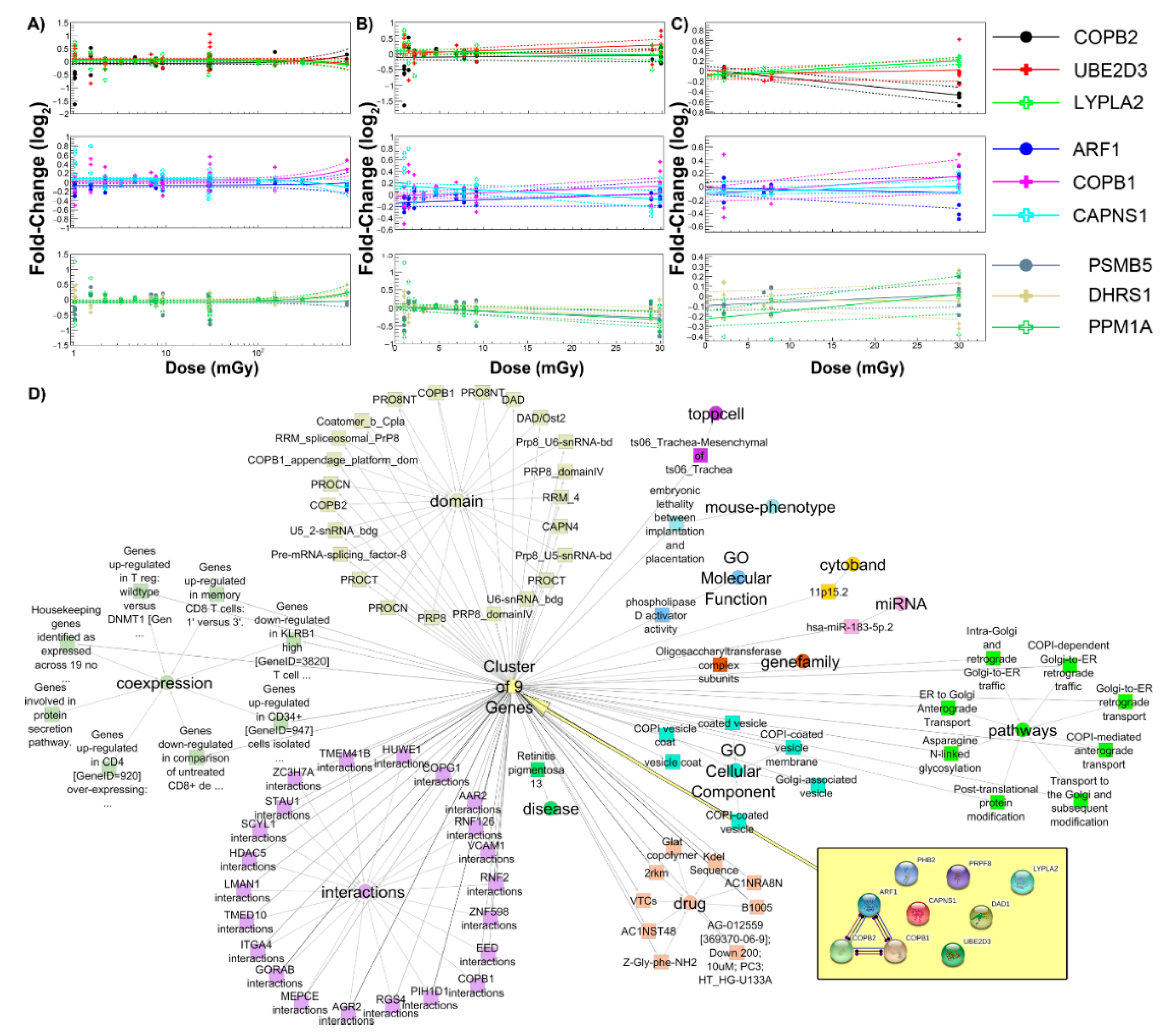 Cancers 12 00381 g009 Cancers 12 00381 g009