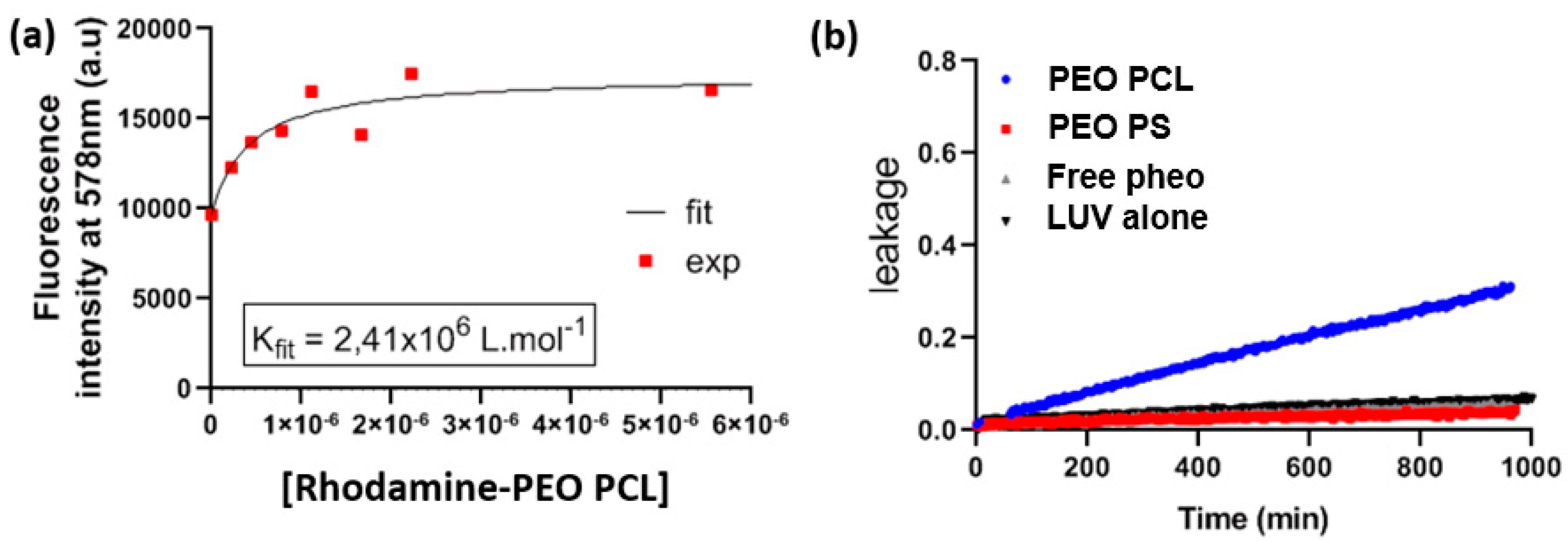 Cancers 12 00384 g003