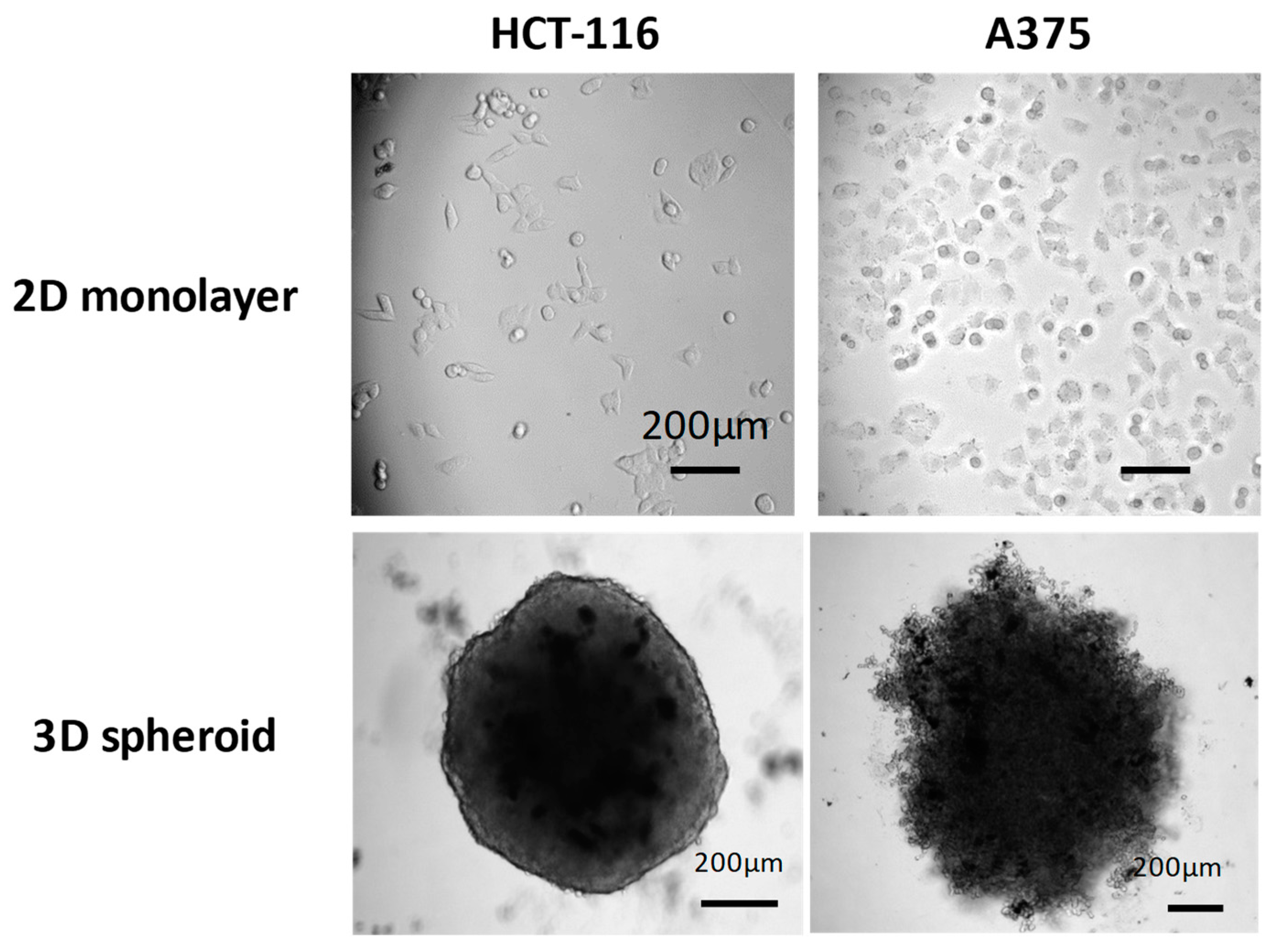 Cancers 12 00384 g0a1