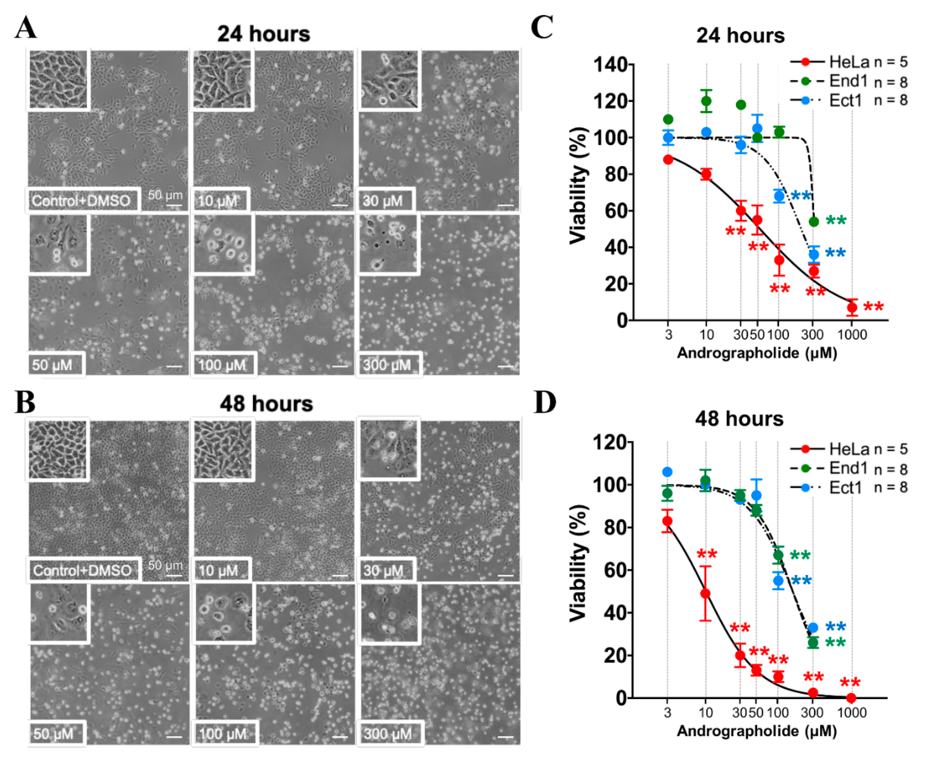 Cancers 12 00387 g005