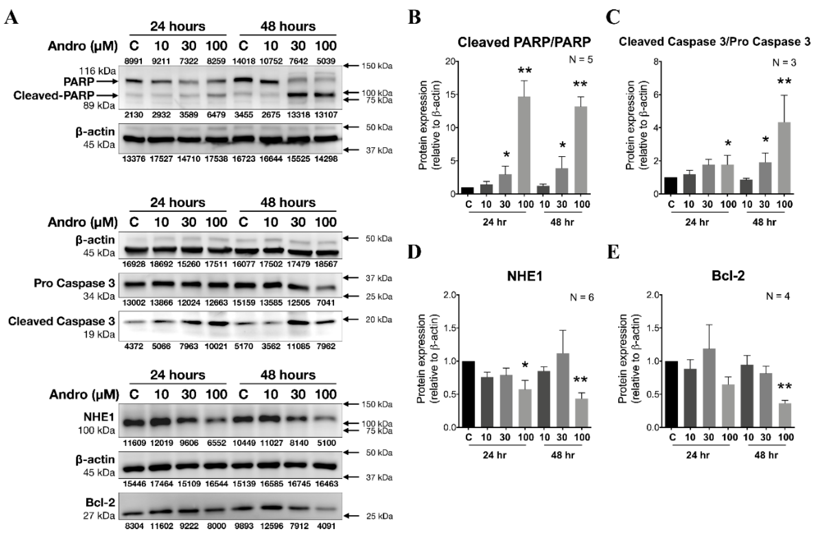 Cancers 12 00387 g007