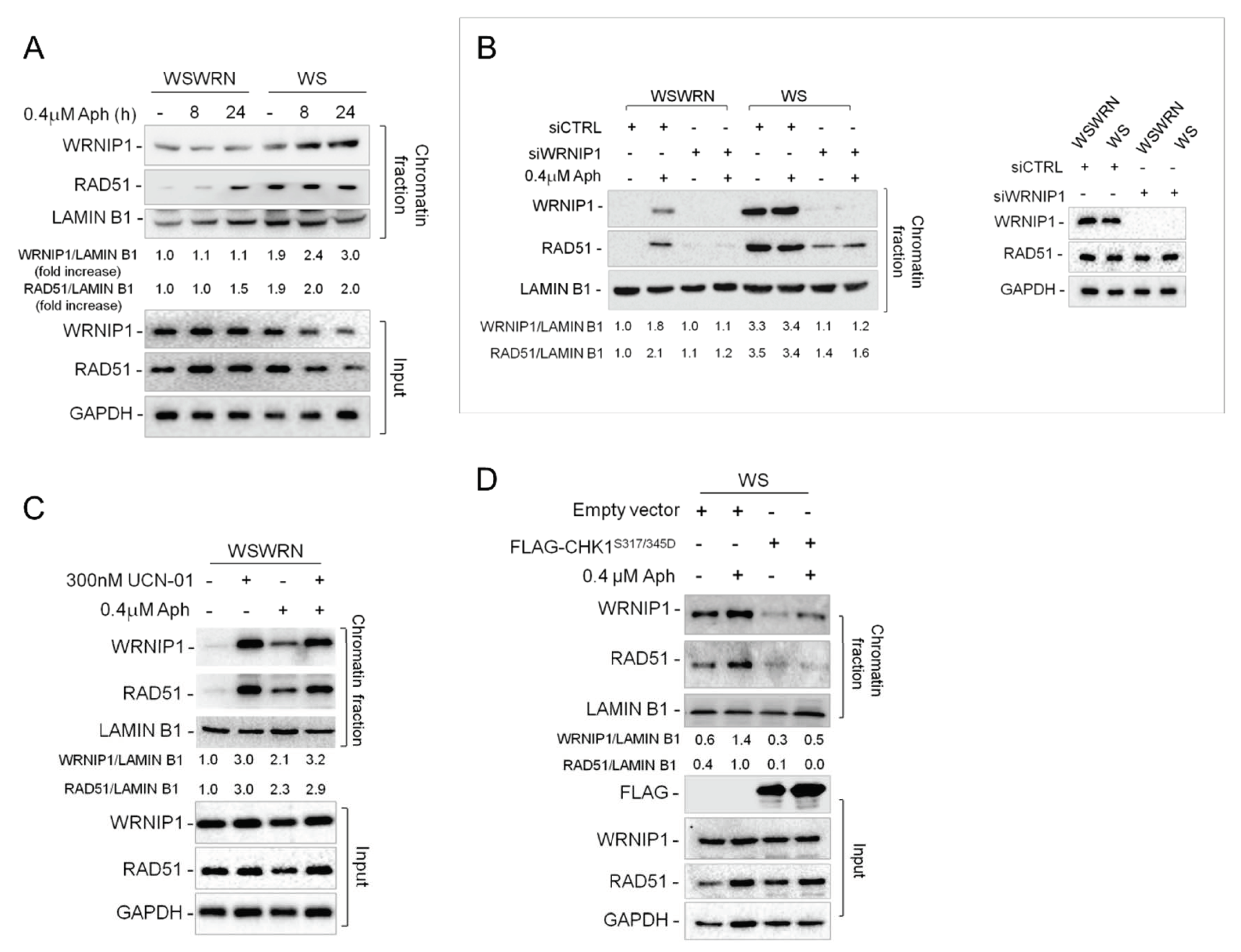 Cancers 12 00389 g005