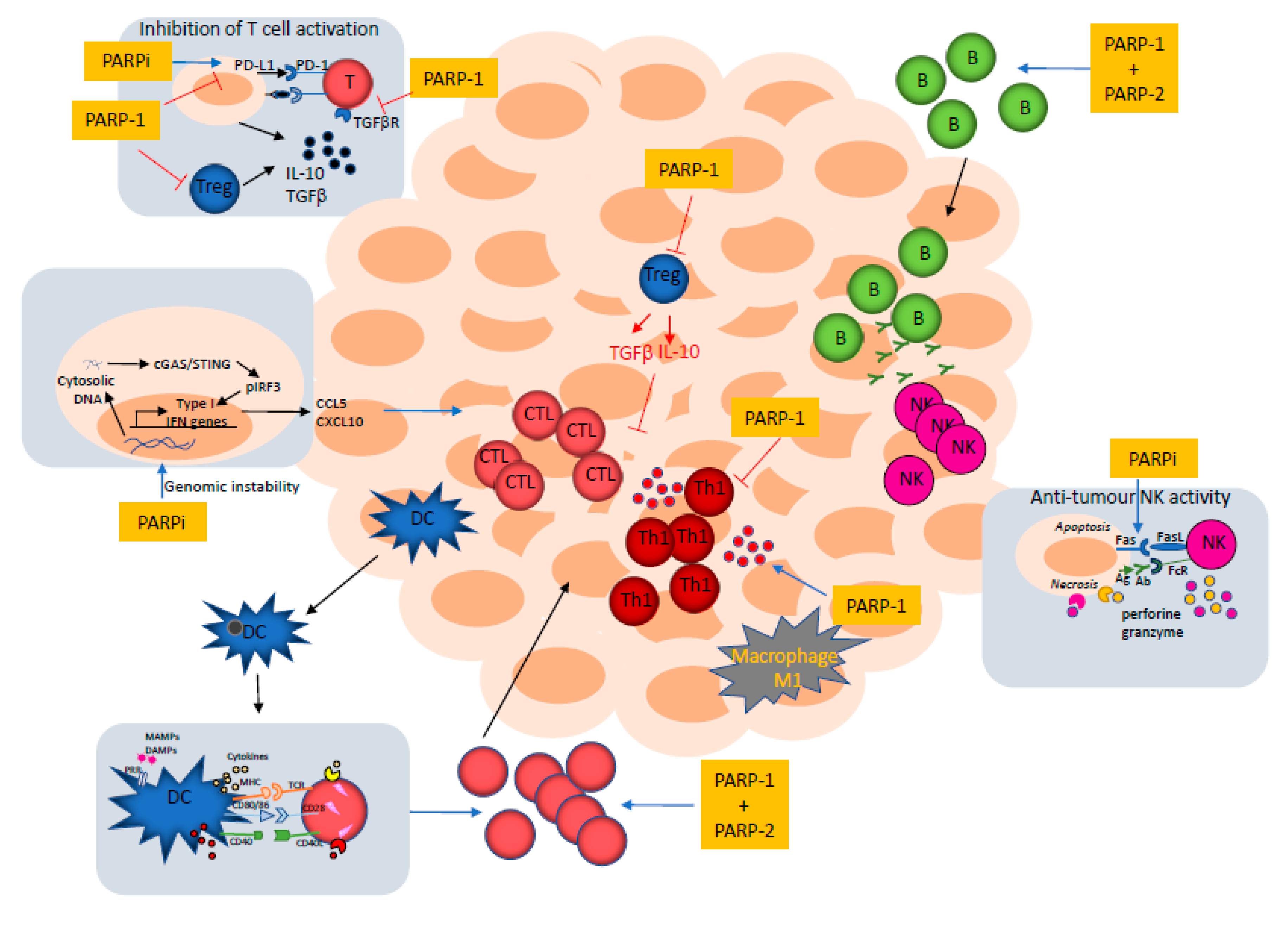 Cancers 12 00392 g004